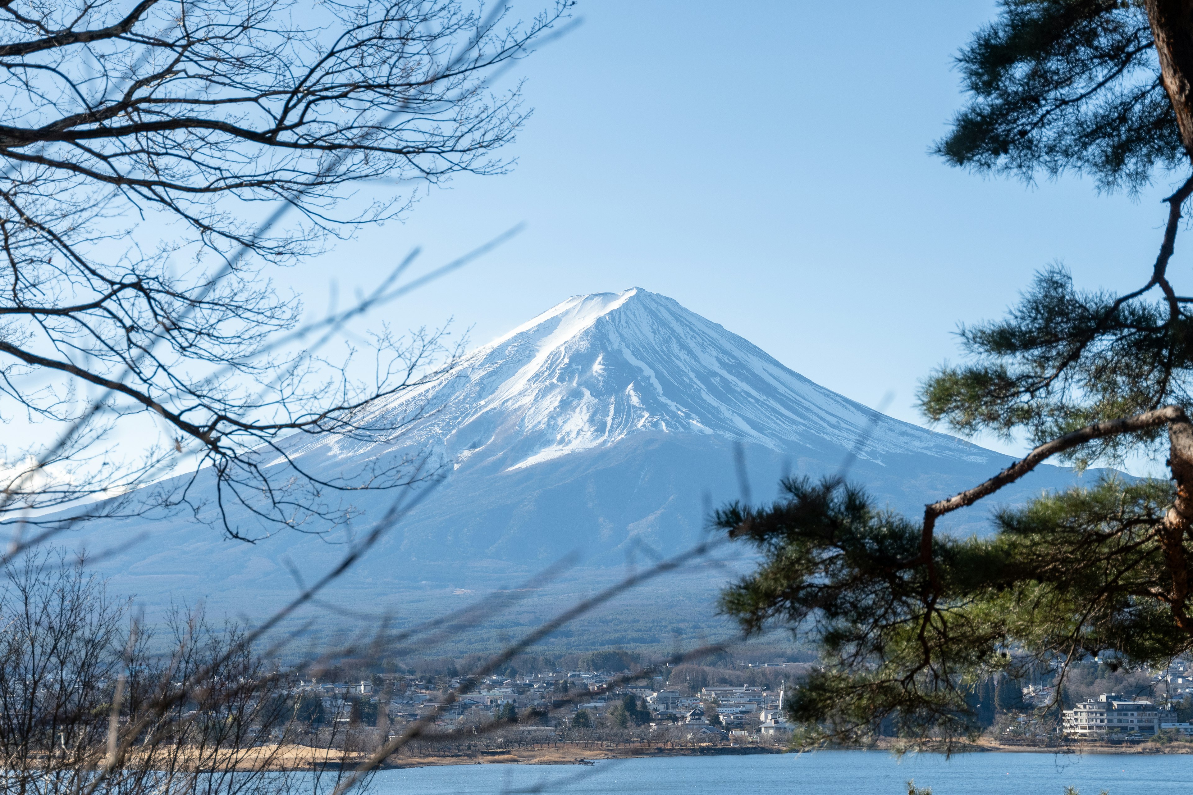 雪覆盖的富士山景观，前景有树木