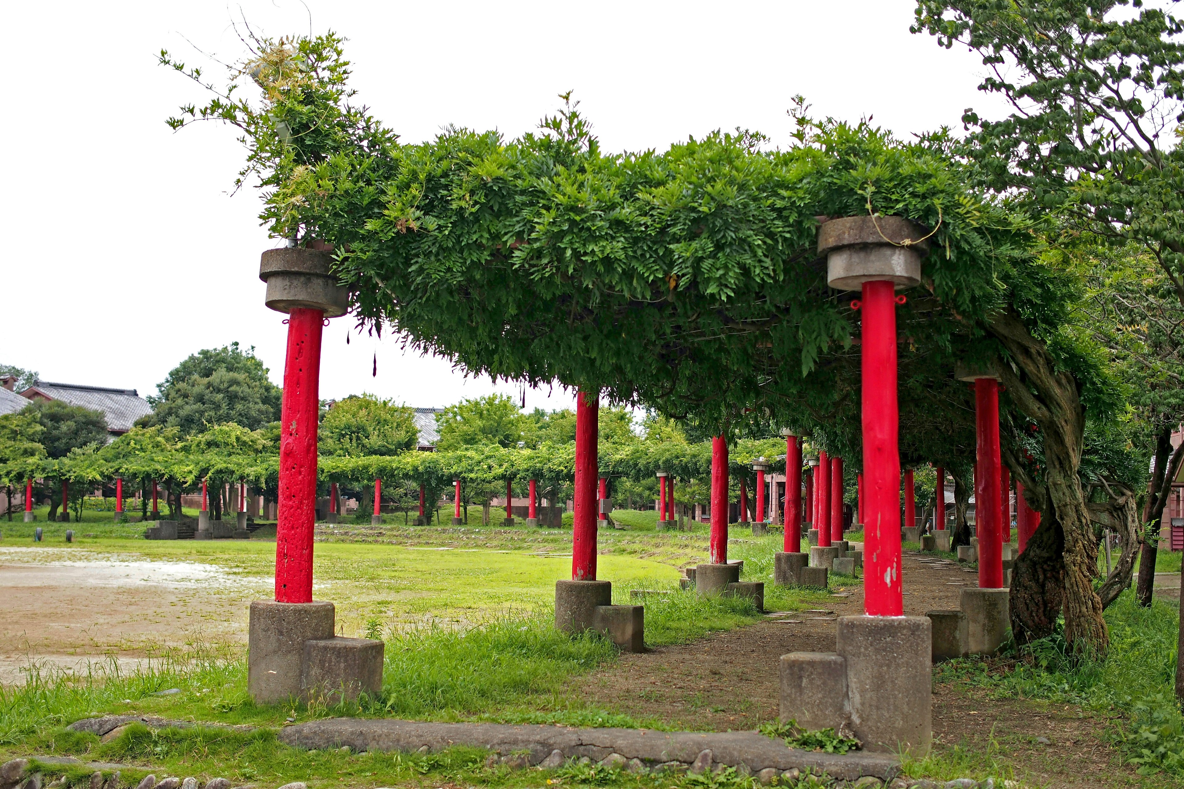 Pemandangan taman dengan pilar merah dan atap yang tertutup tanaman hijau