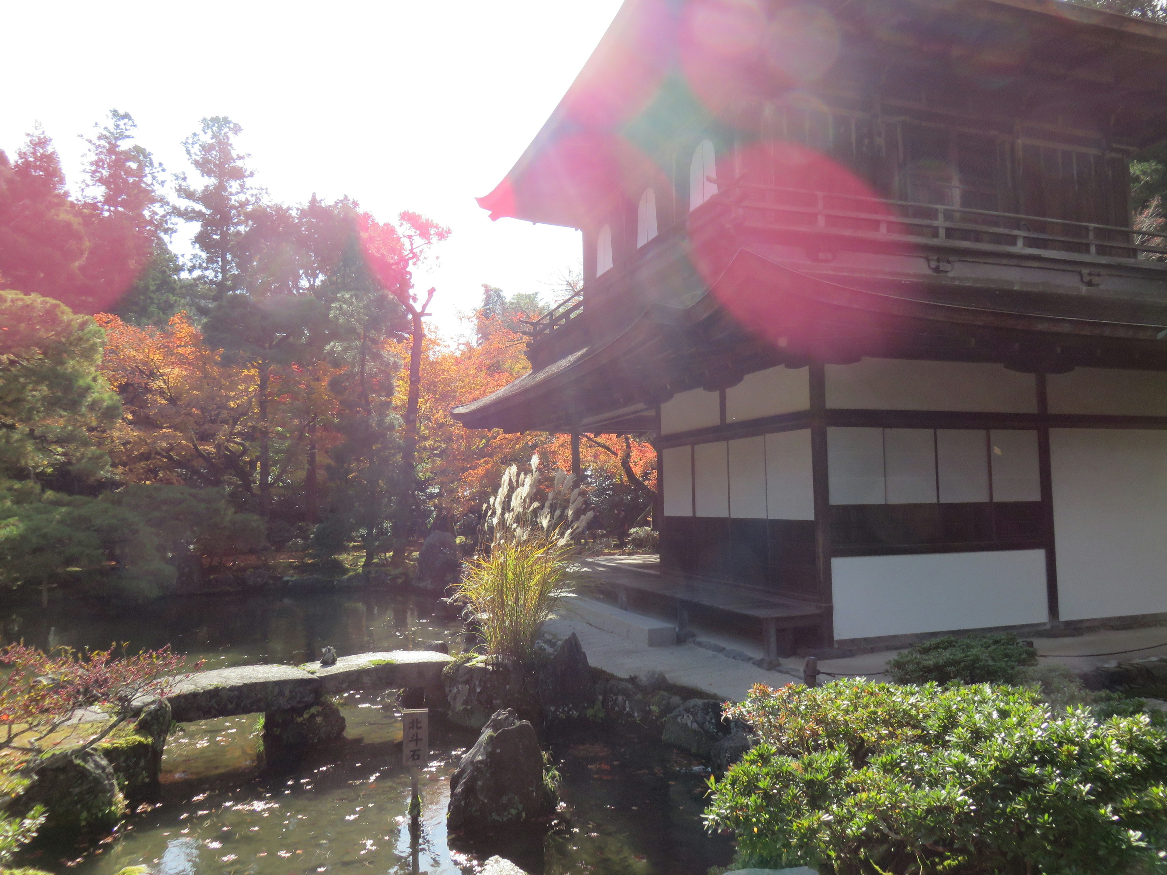 Scenic view of a traditional Japanese building beside a serene garden pond