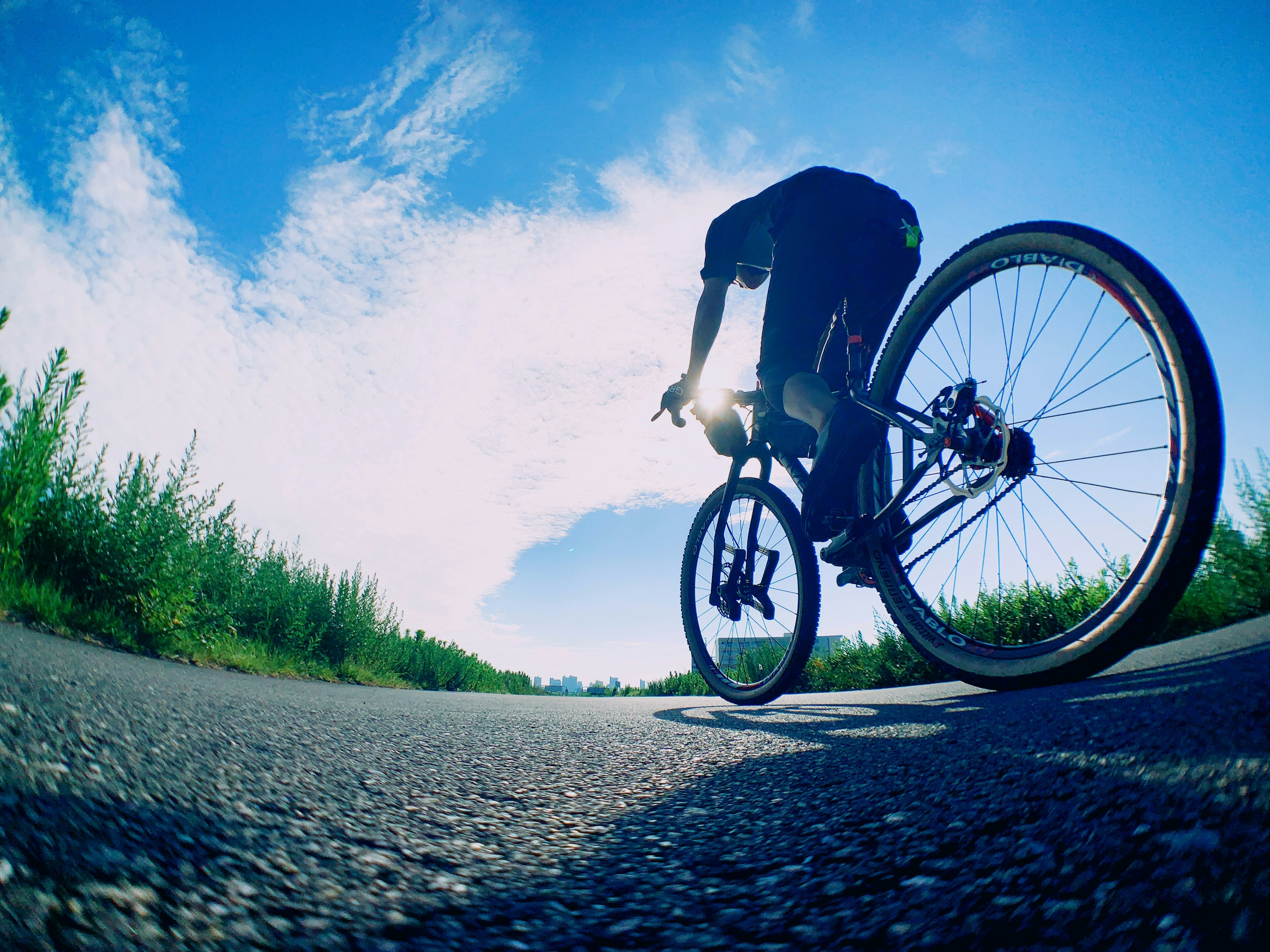 Person riding a bicycle with a blue sky and green plants in the background