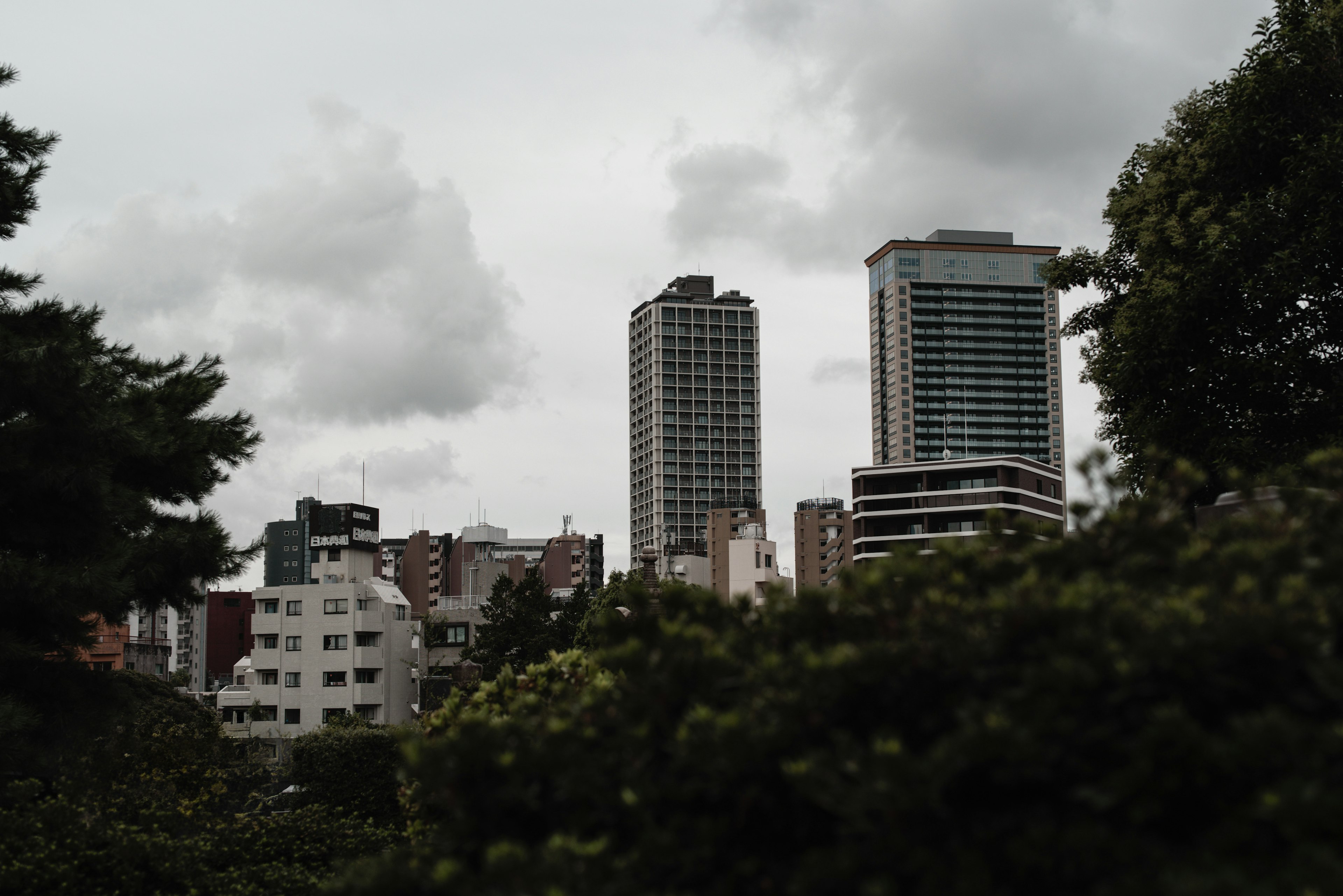 高層ビルと緑の木々が見える都会の風景