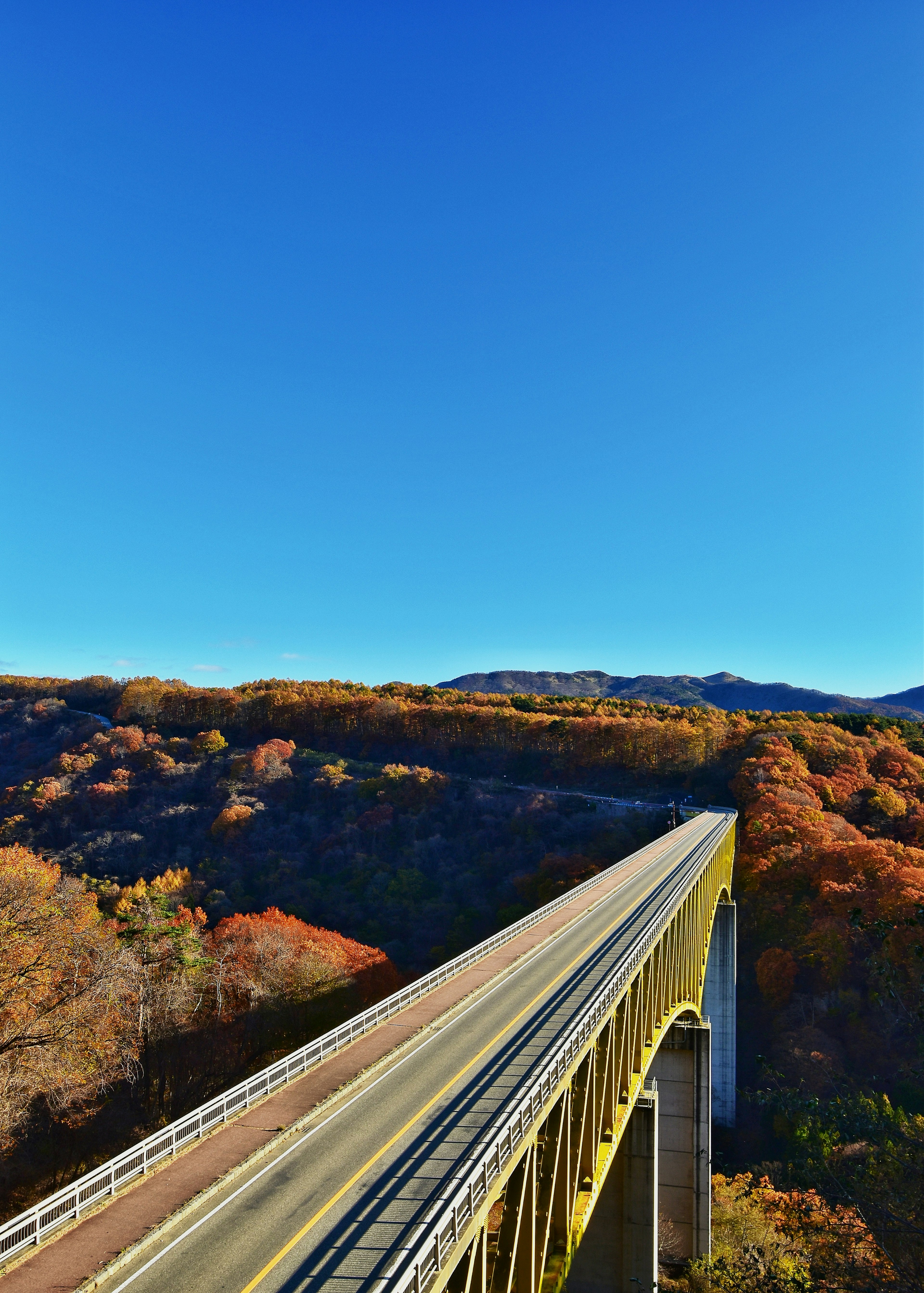 青空の下に広がる高架橋と秋の紅葉