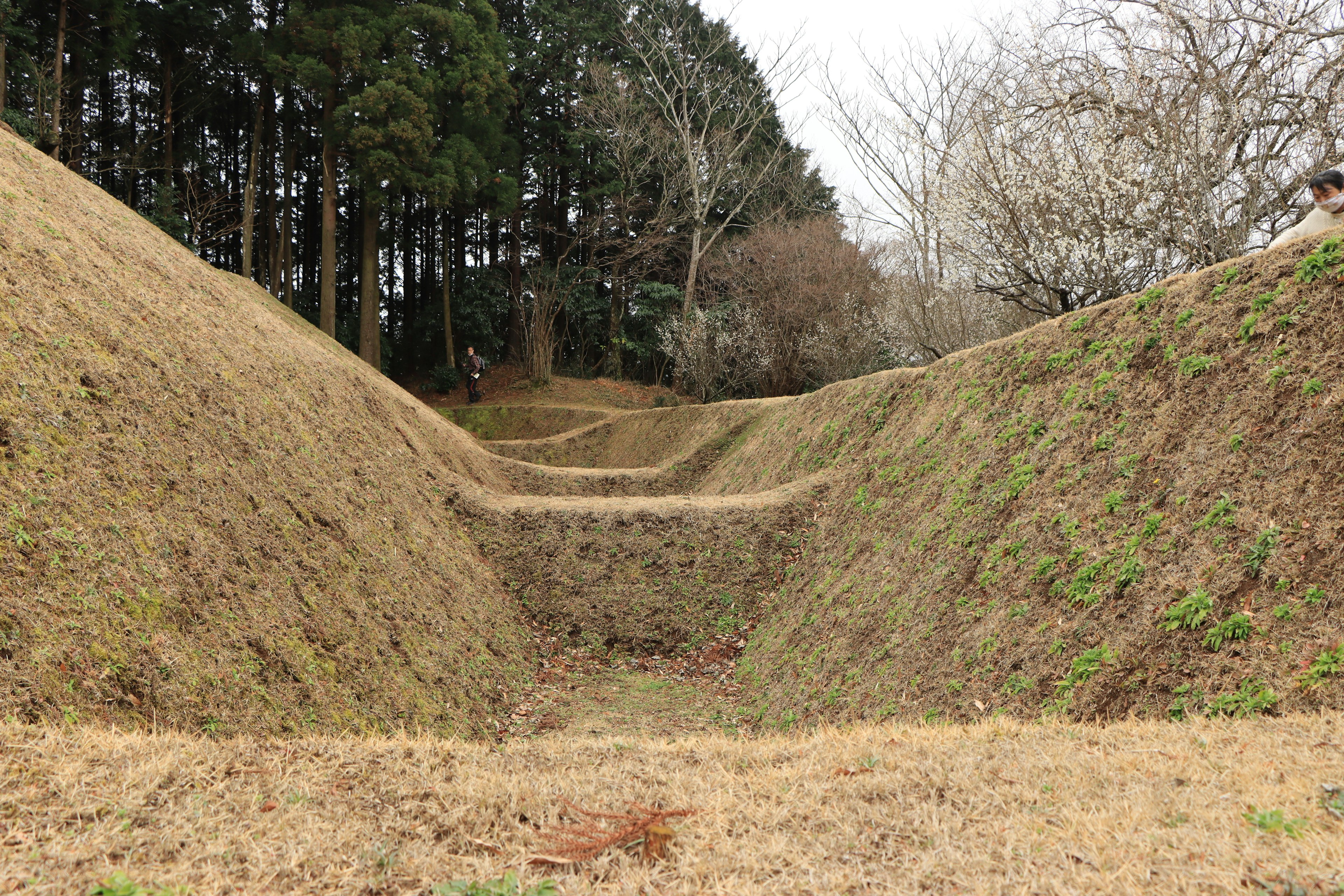 古代の土塁と堀の風景が広がる緑の草地