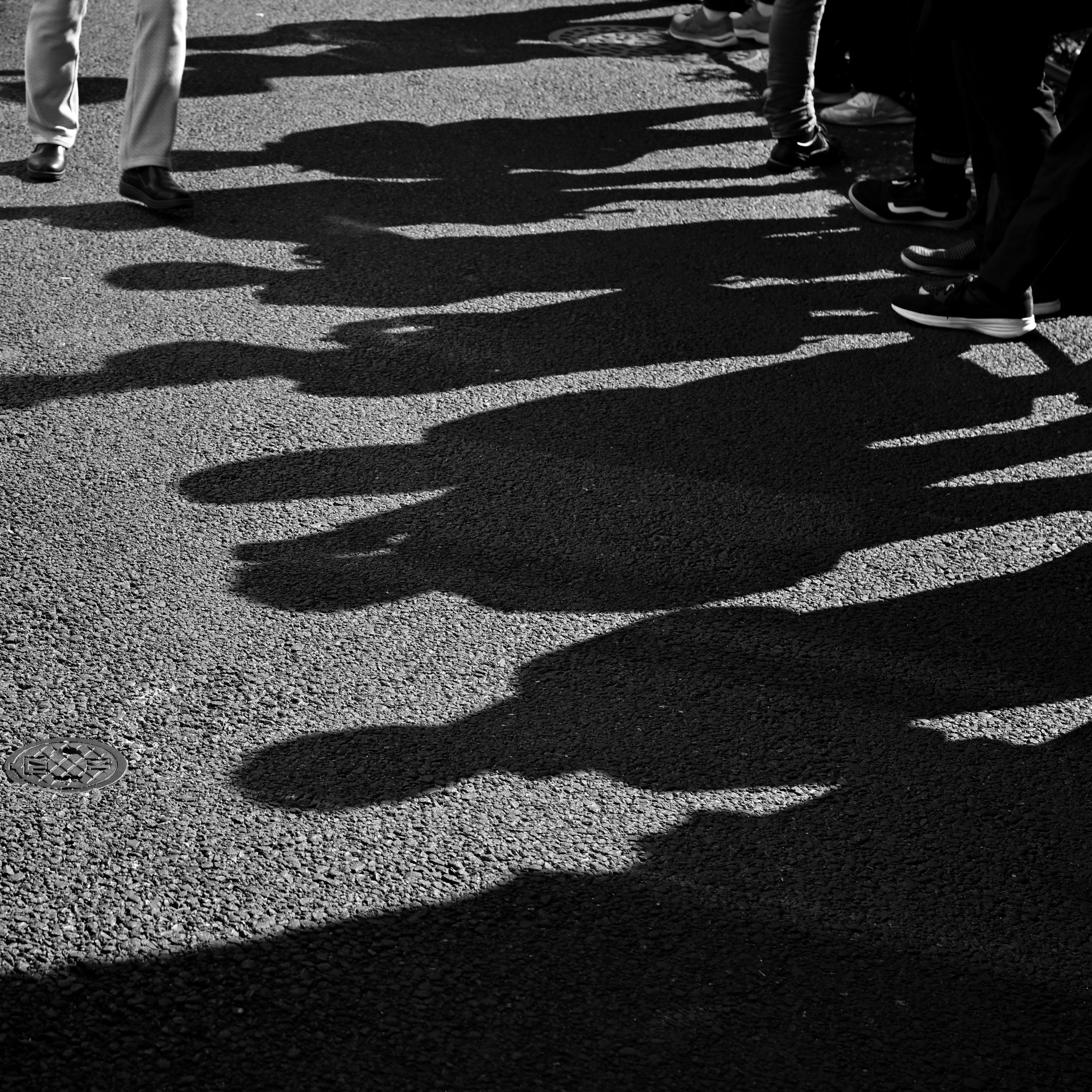 Silhouettes of people casting shadows on the ground