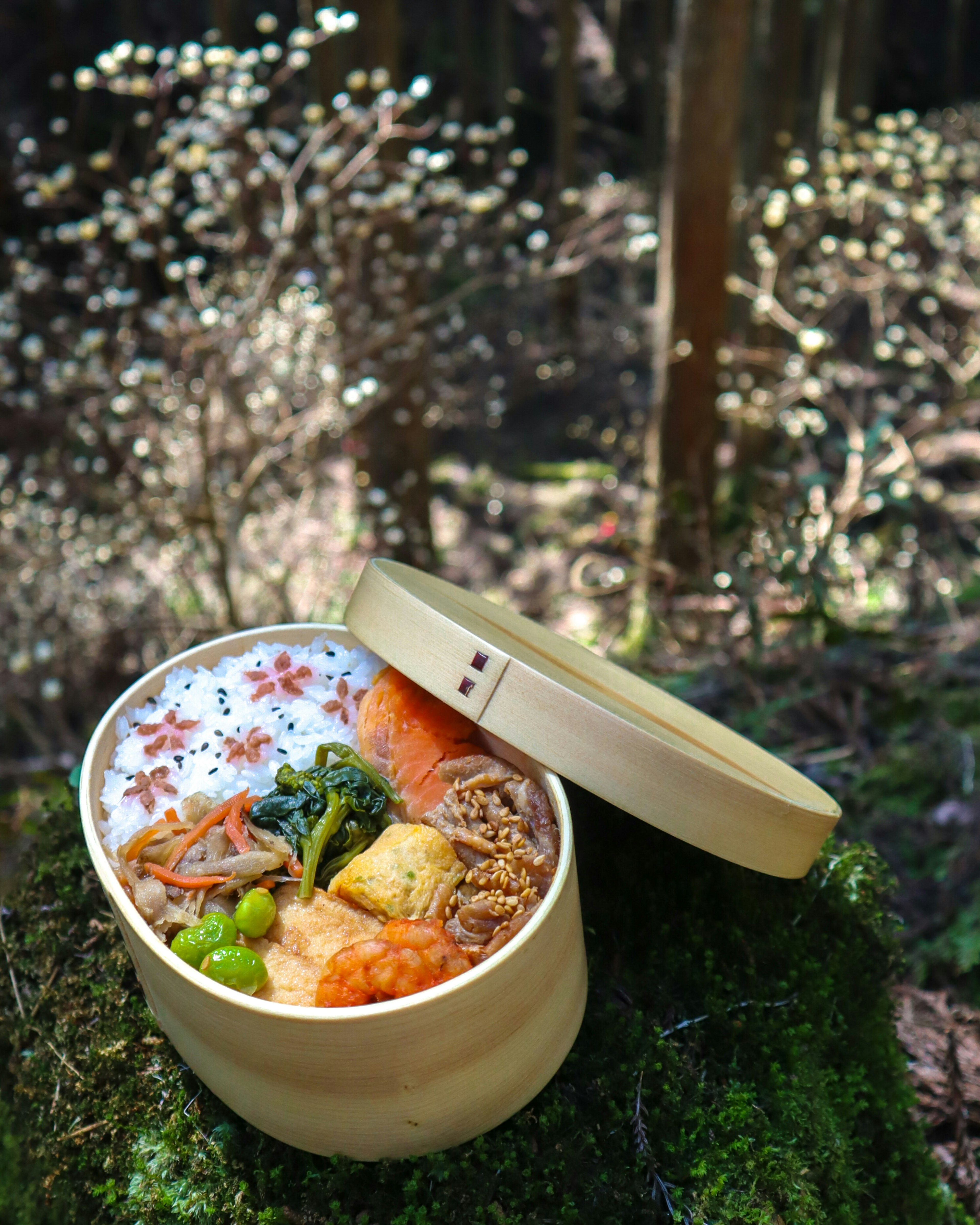 A beautiful Japanese bento box placed in a forest vibrant dishes are arranged attractively