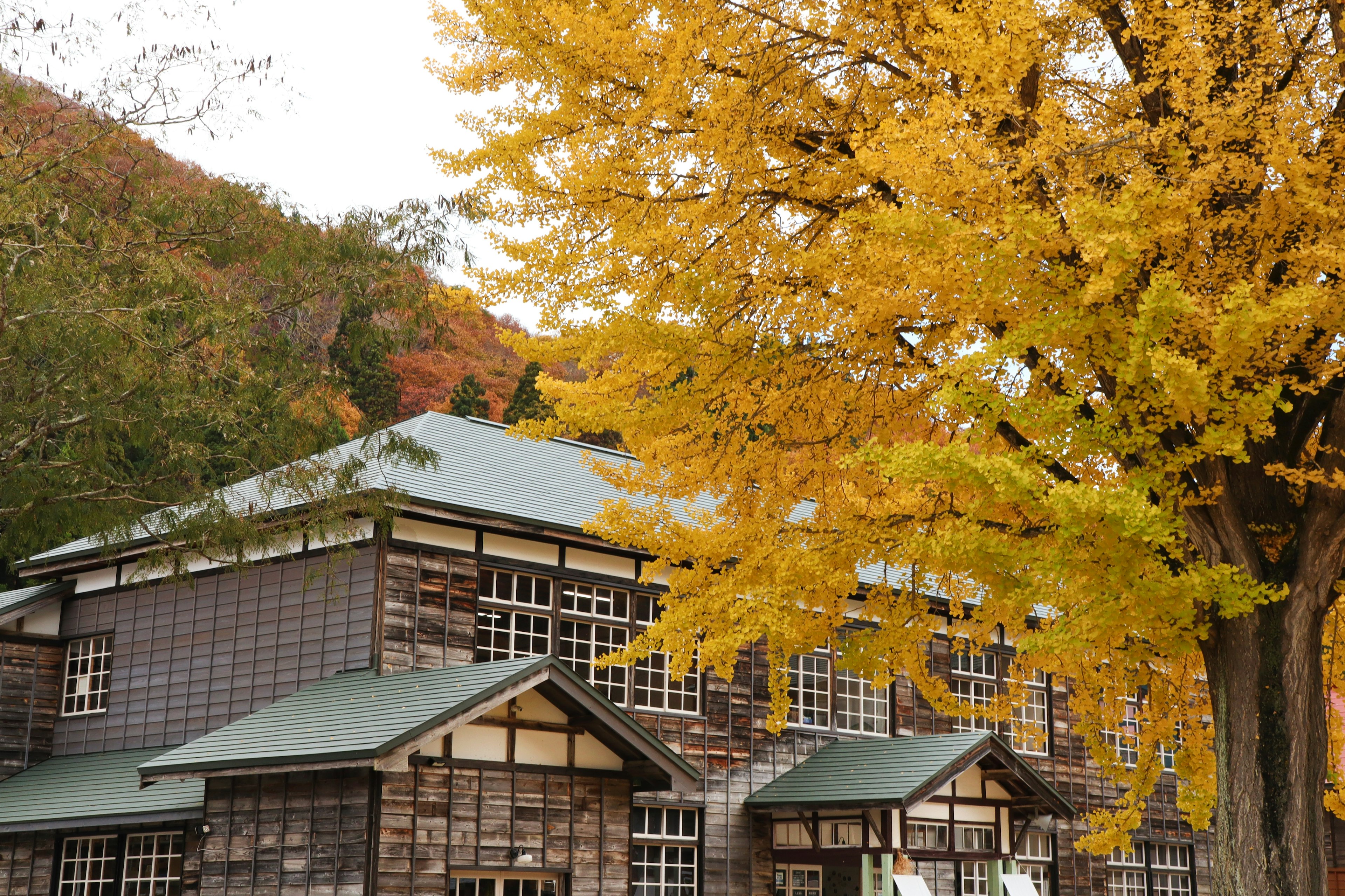 Scenic view of a wooden building with vibrant autumn leaves