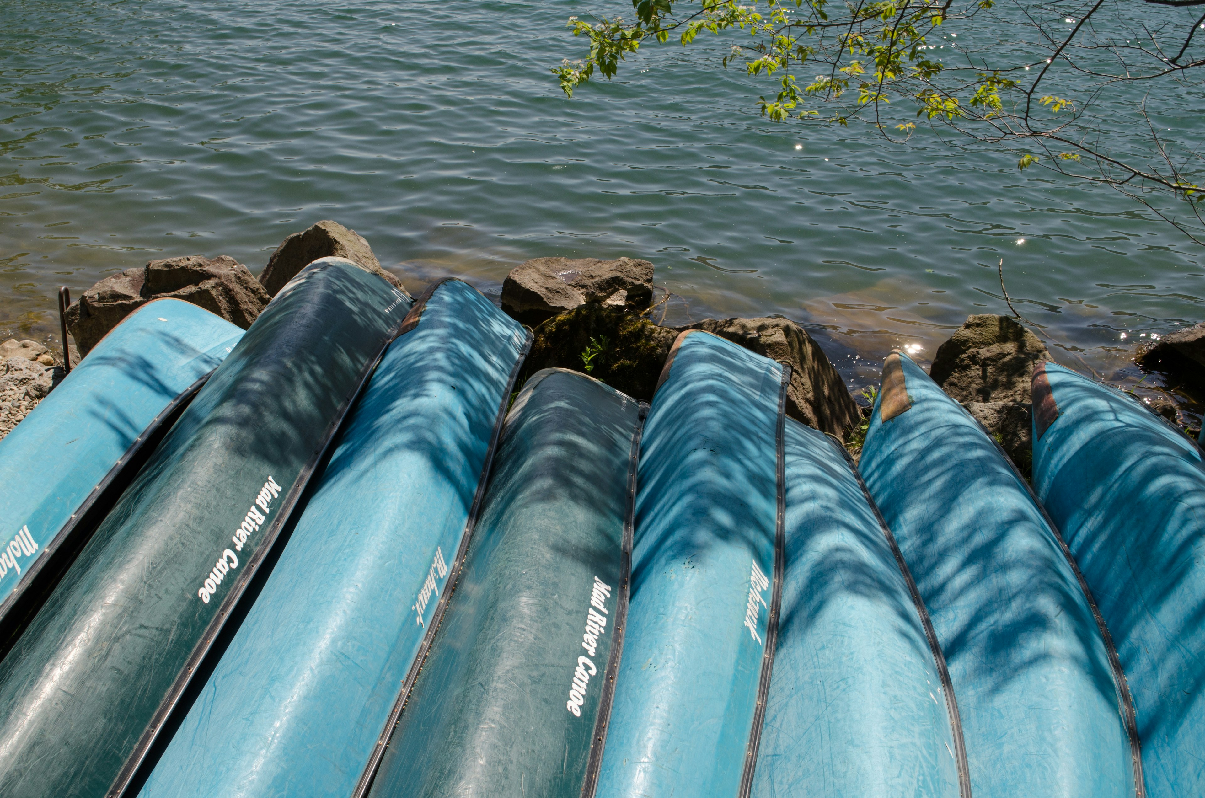 Fila de canoas azules descansando en la orilla del río