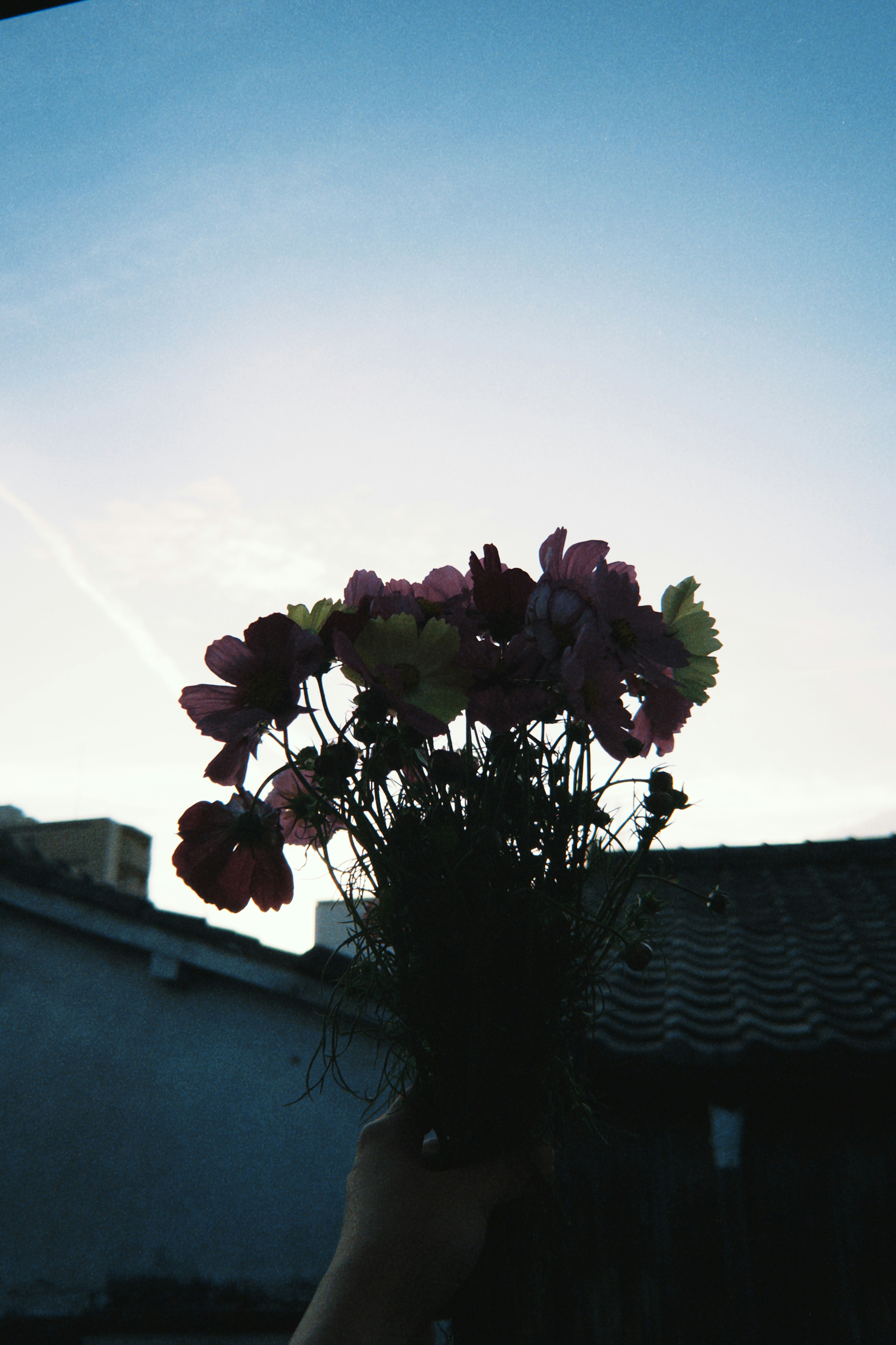 Silhouette di un mazzo di fiori tenuto contro un cielo blu