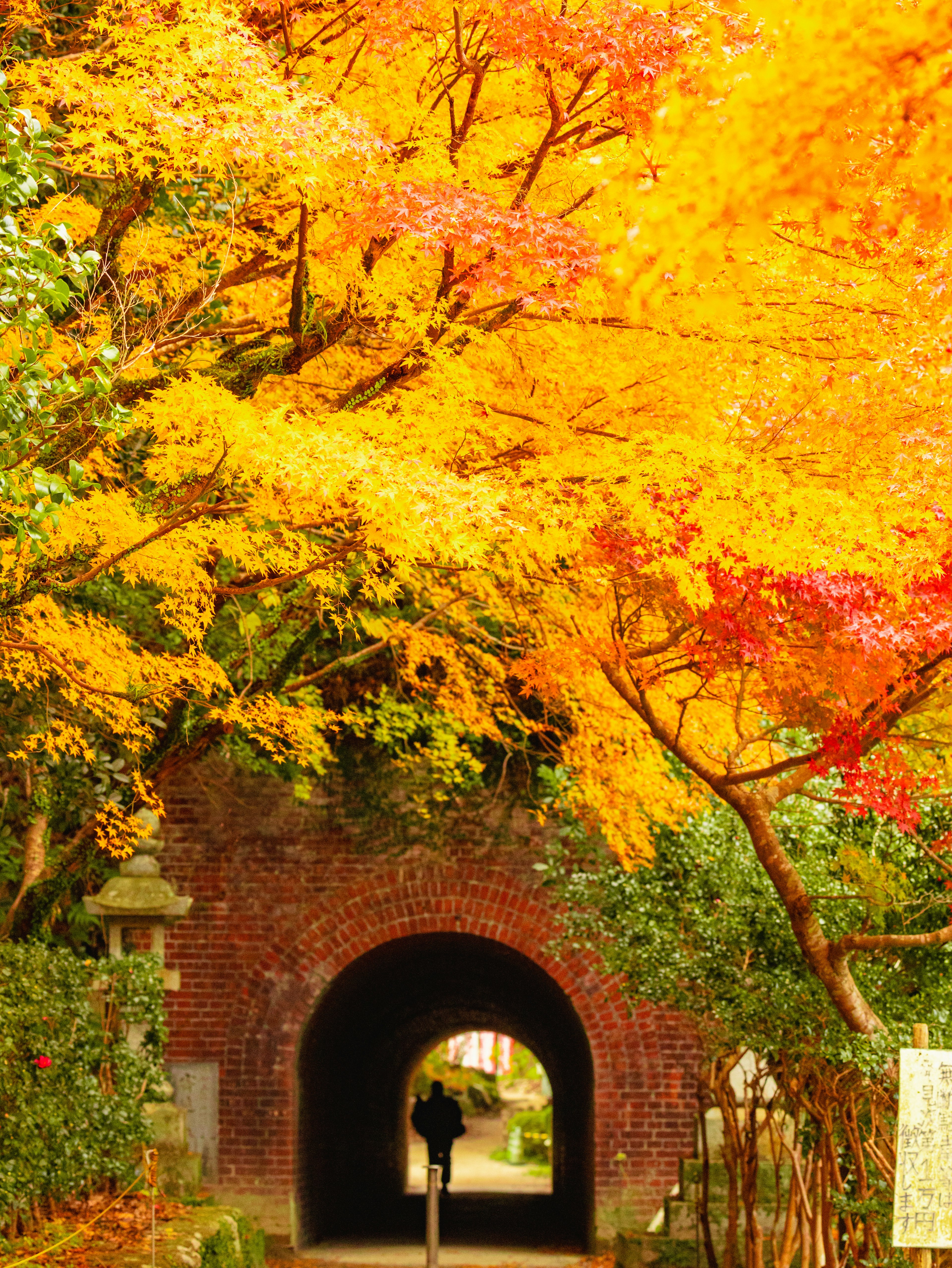 Vibrant autumn foliage surrounding a brick archway tunnel