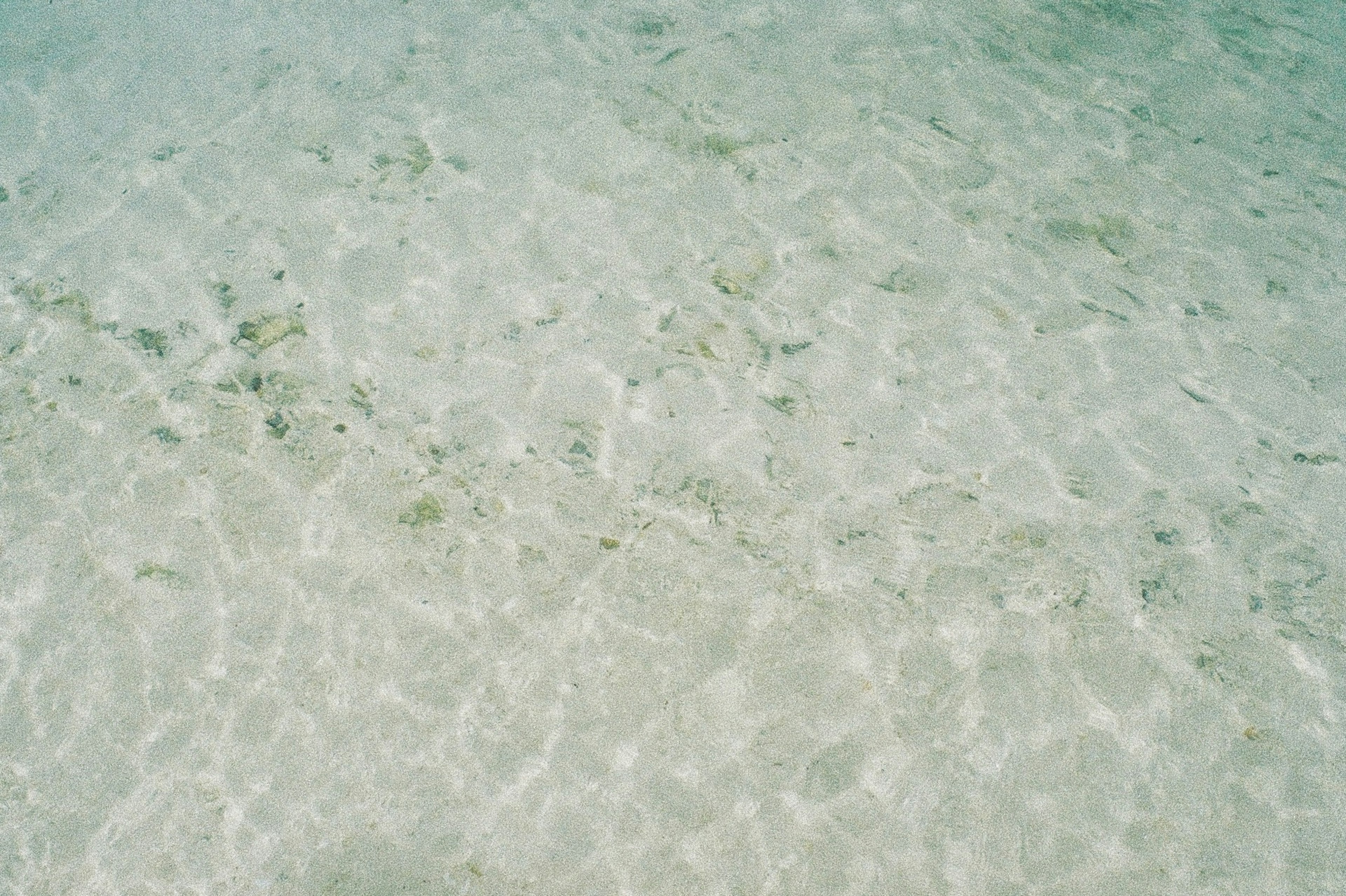 Superficie de agua clara que revela patrones de arena y algas