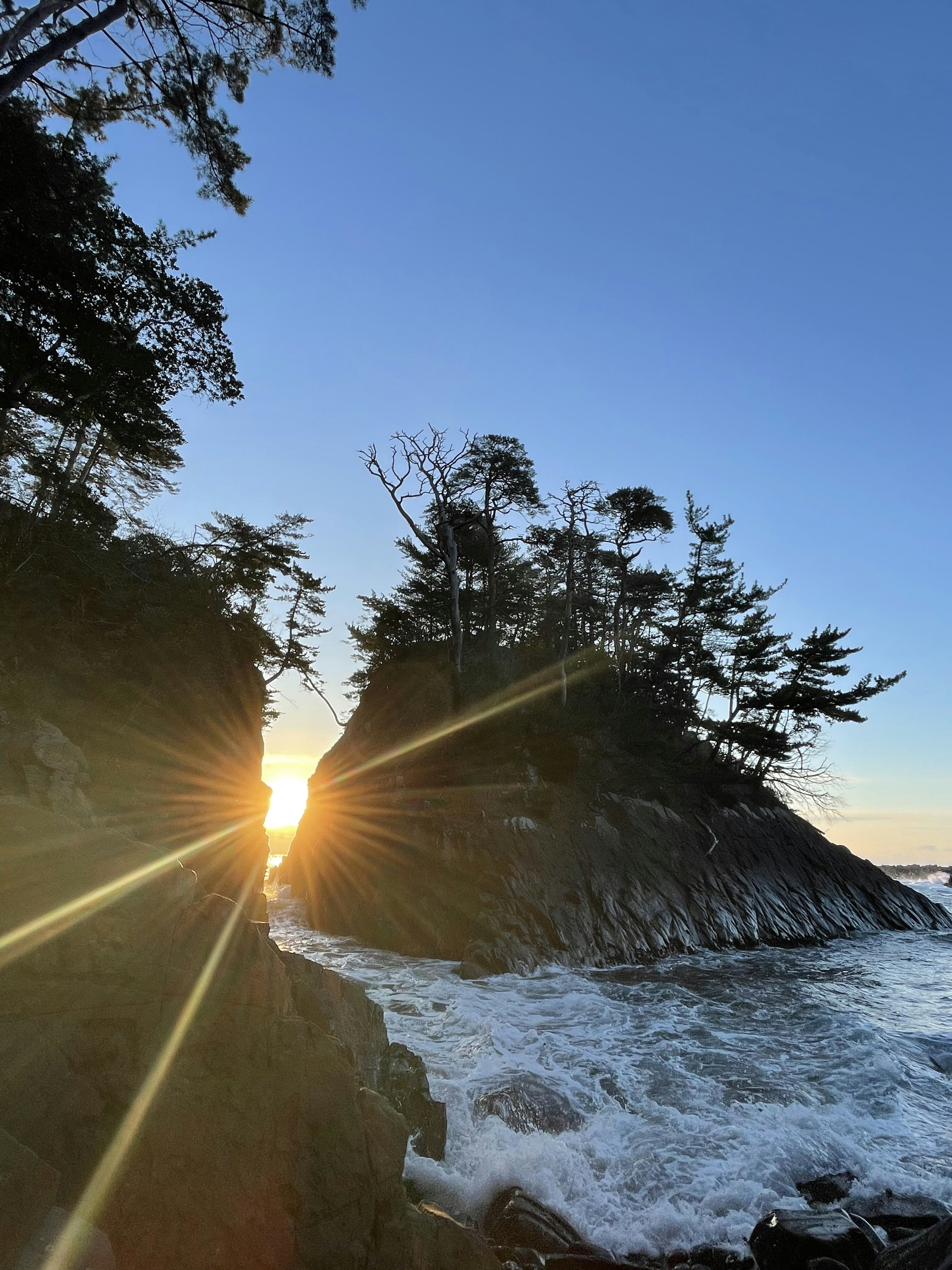 Luce del sole che filtra tra le rocce con onde oceaniche e alberi