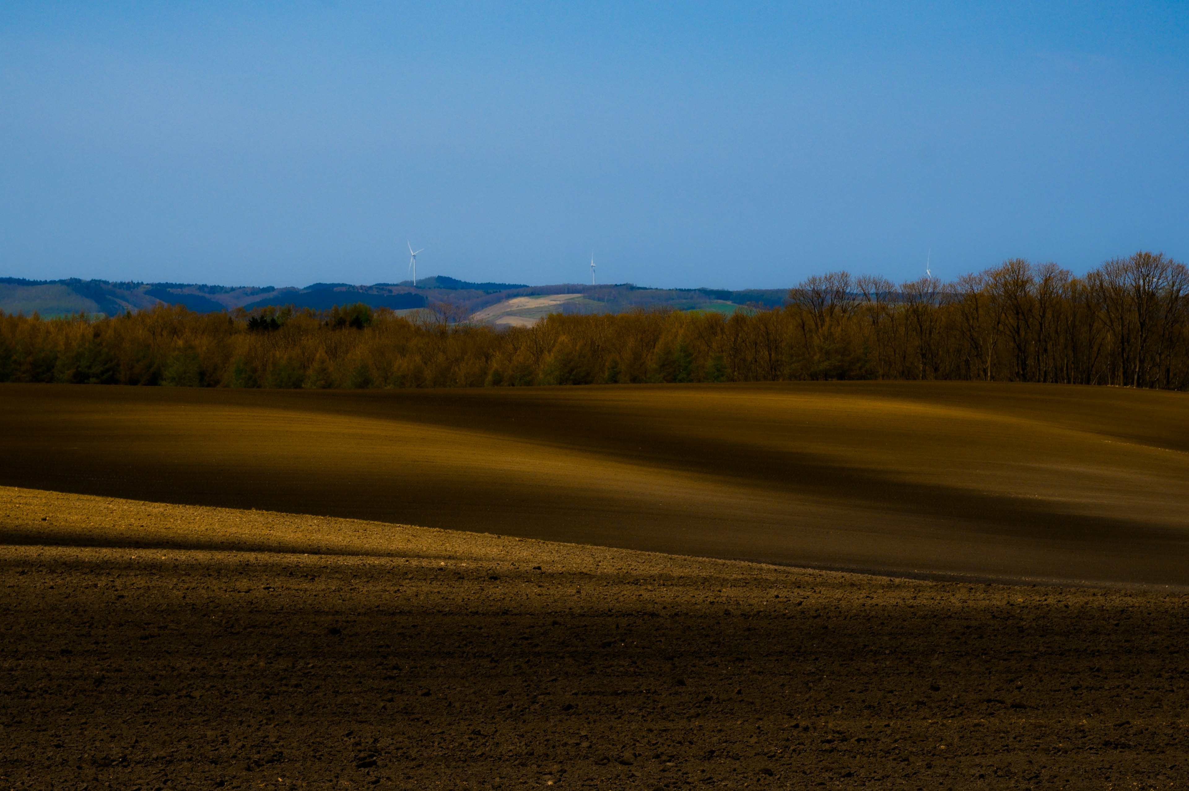 Paysage rural avec ciel bleu et collines verdoyantes