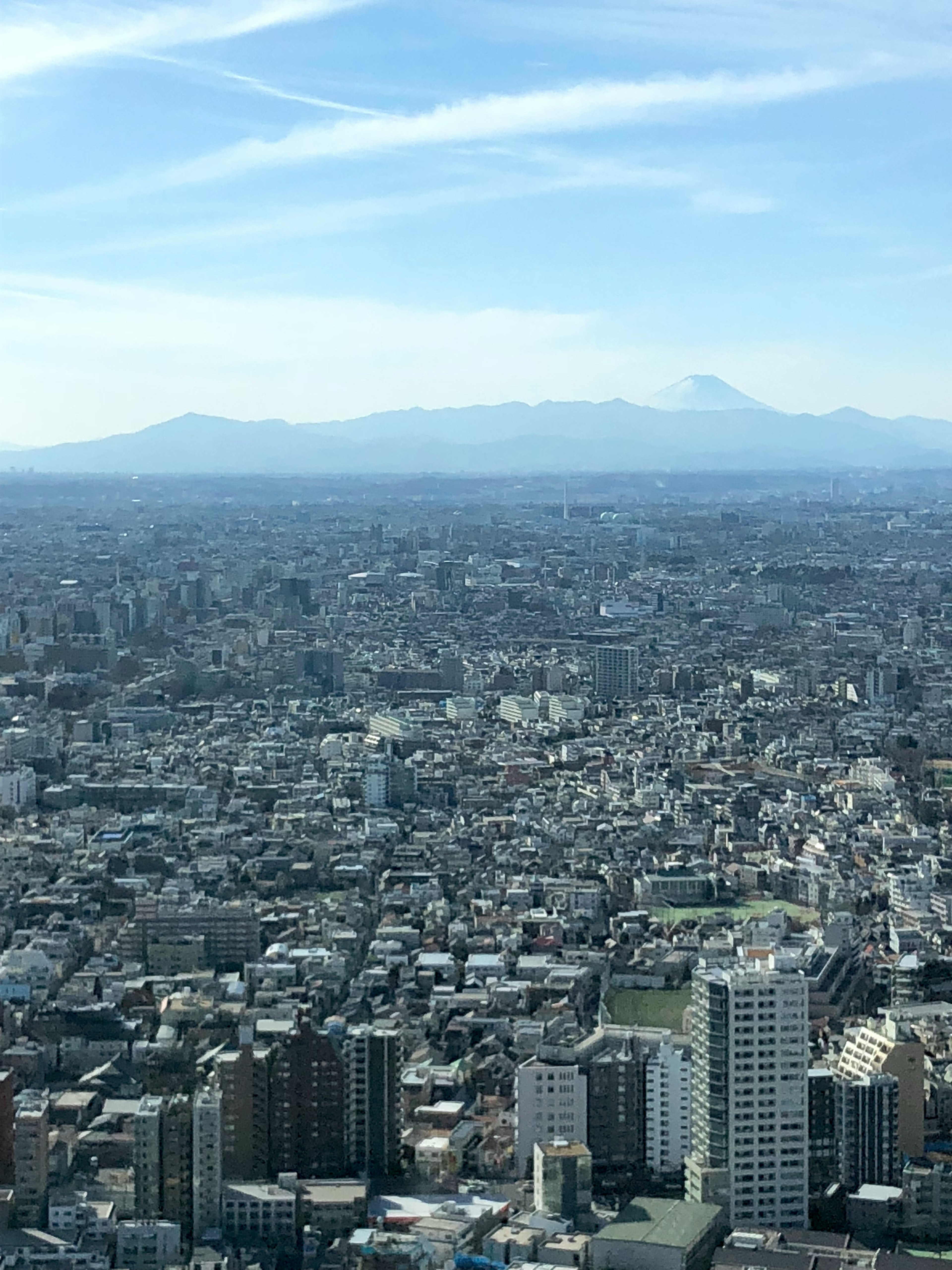 Panoramic view of Tokyo's urban landscape with distant mountains