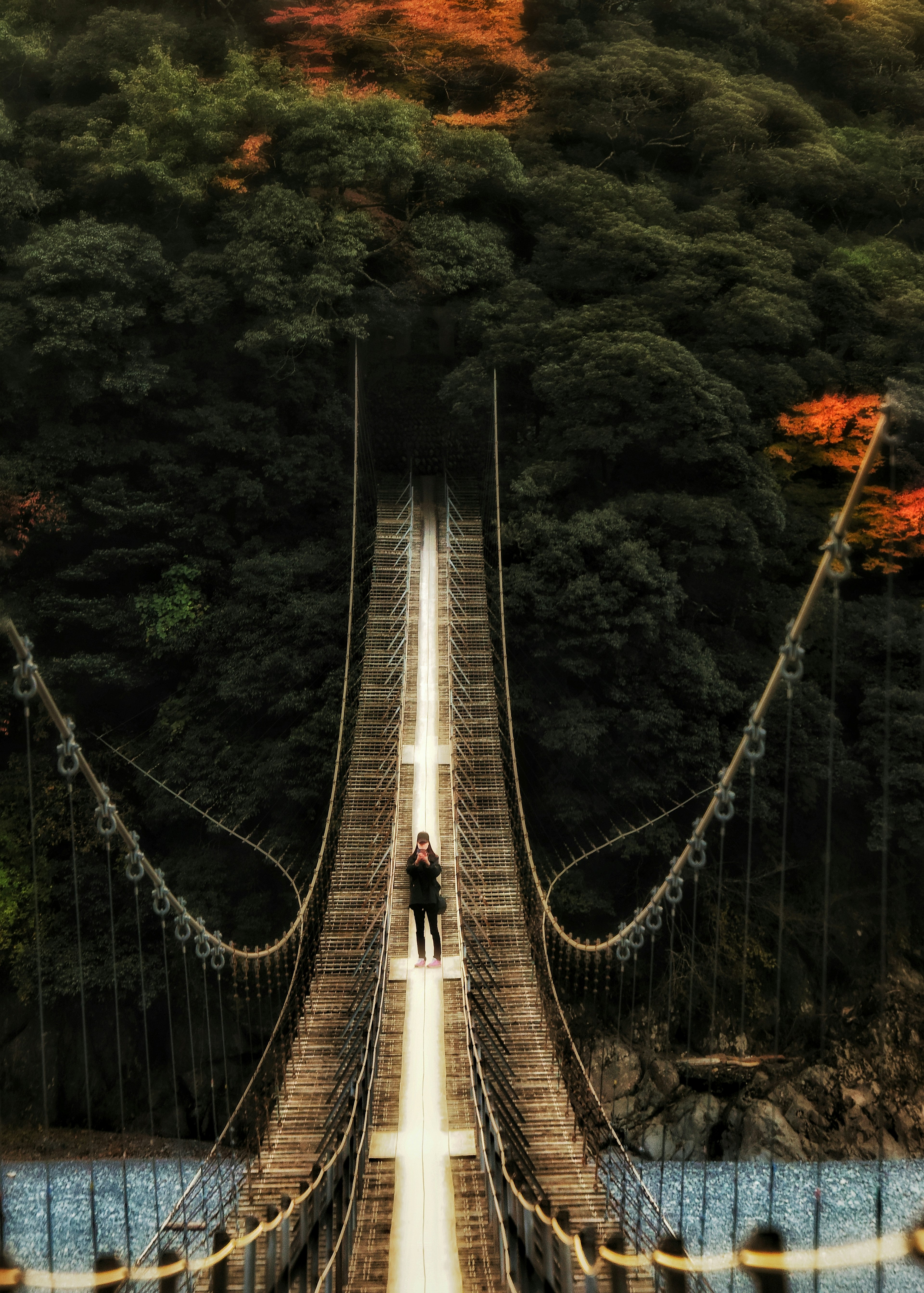 Persona caminando en un puente colgante rodeado de árboles verdes y hojas de otoño