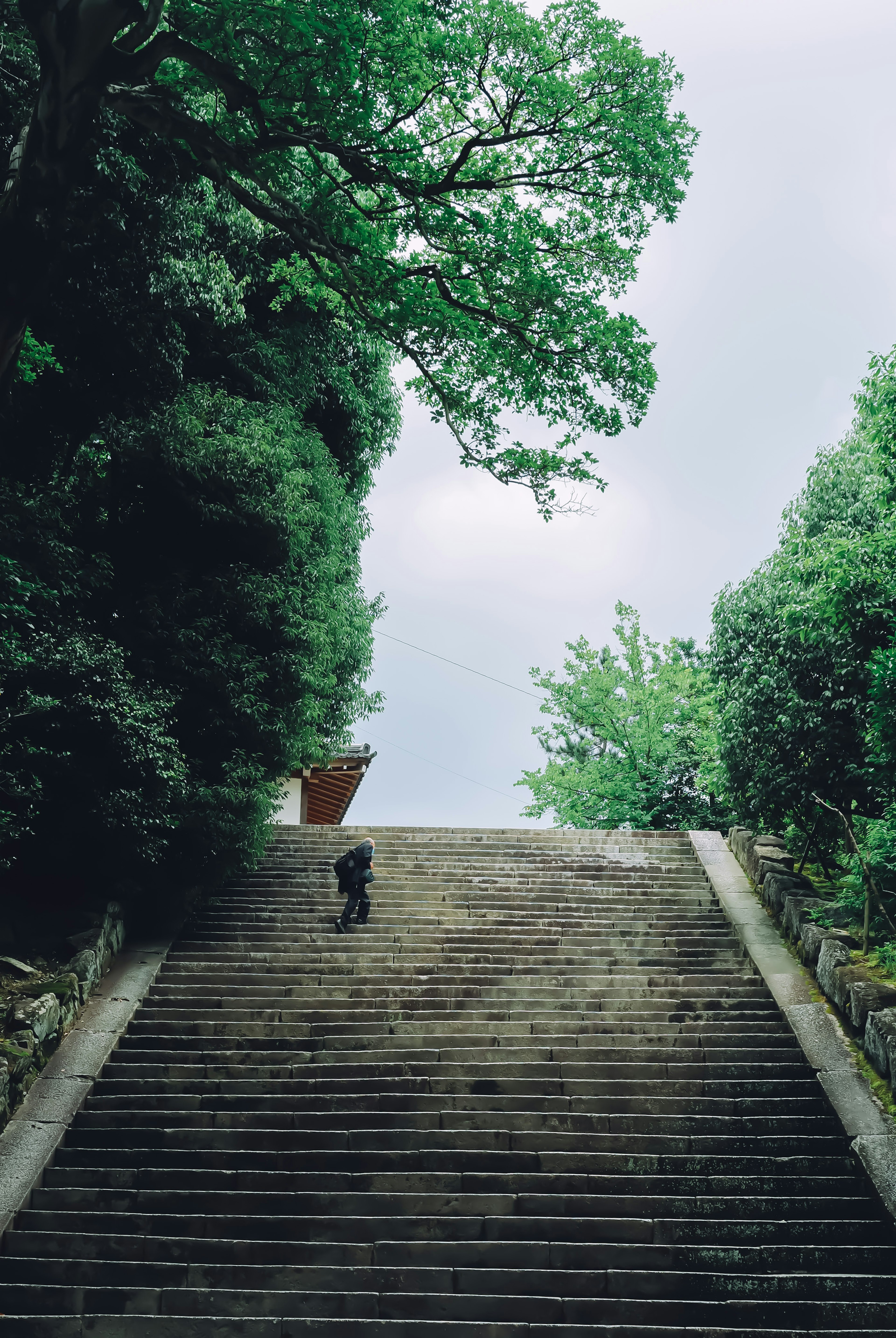 Person, die steinerne Treppen umgeben von grünen Bäumen hinaufsteigt