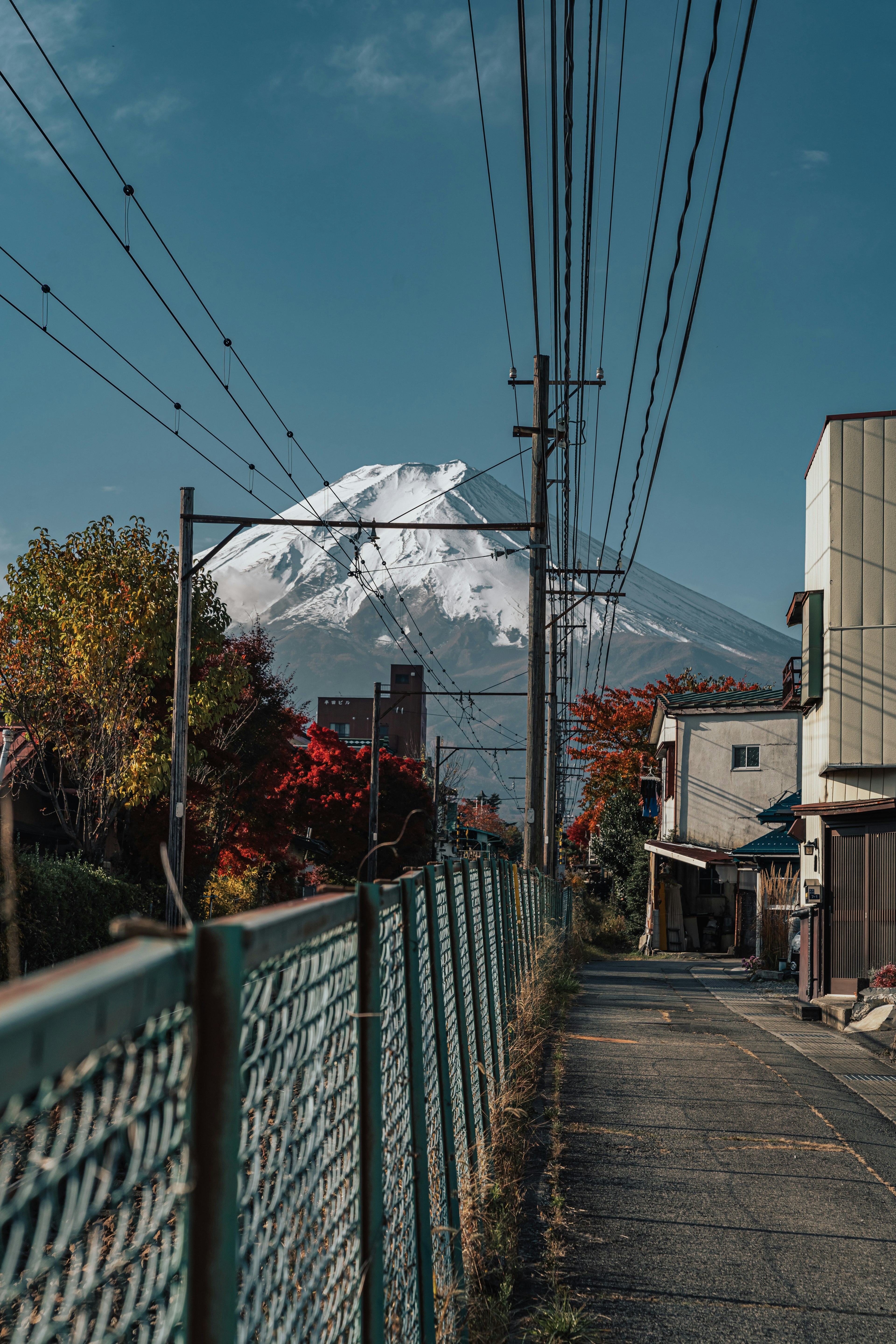 秋の色合いの道と雪をかぶった富士山の背景