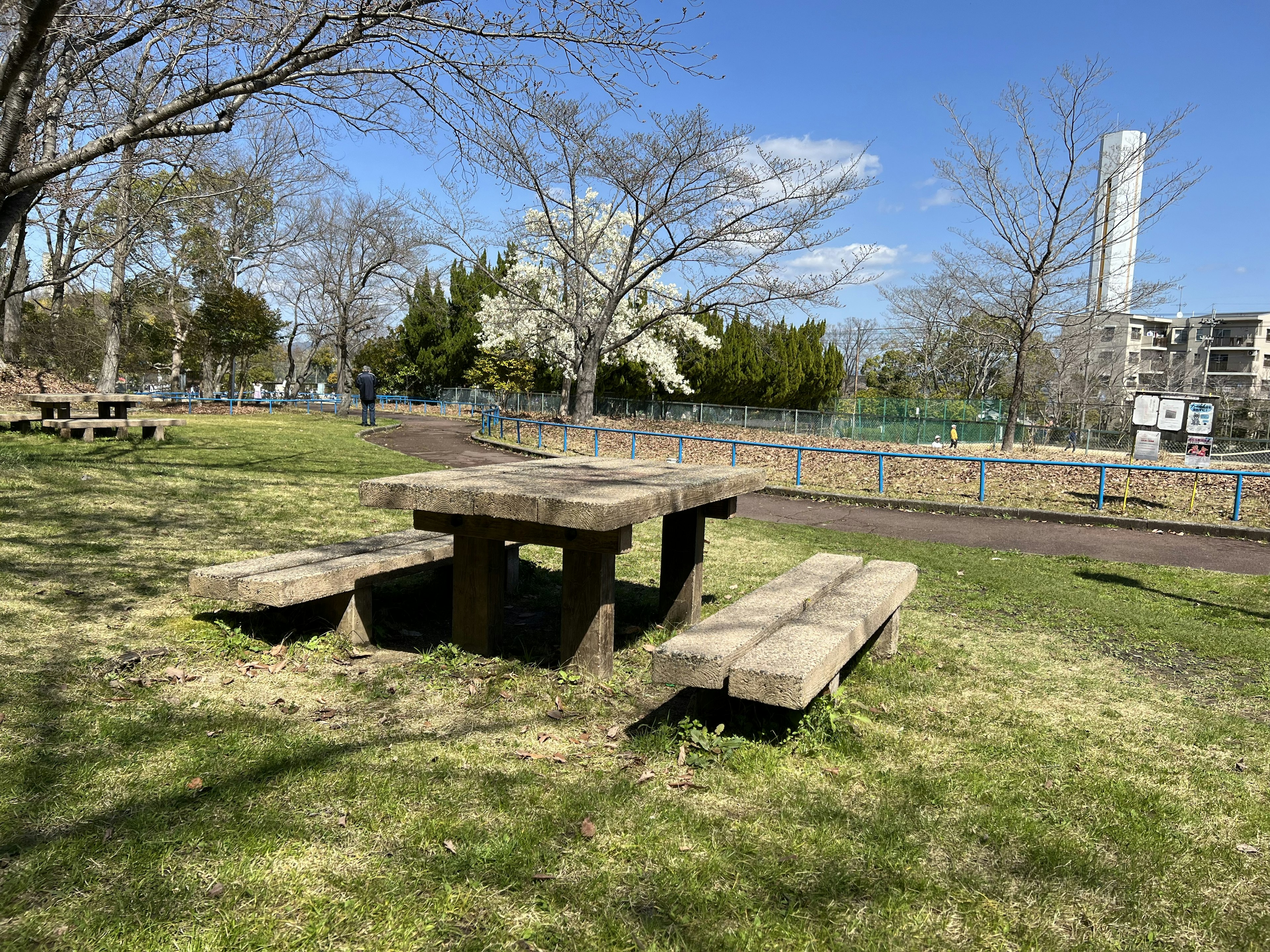 Holztisch und Bänke in einem grasbewachsenen Parkbereich