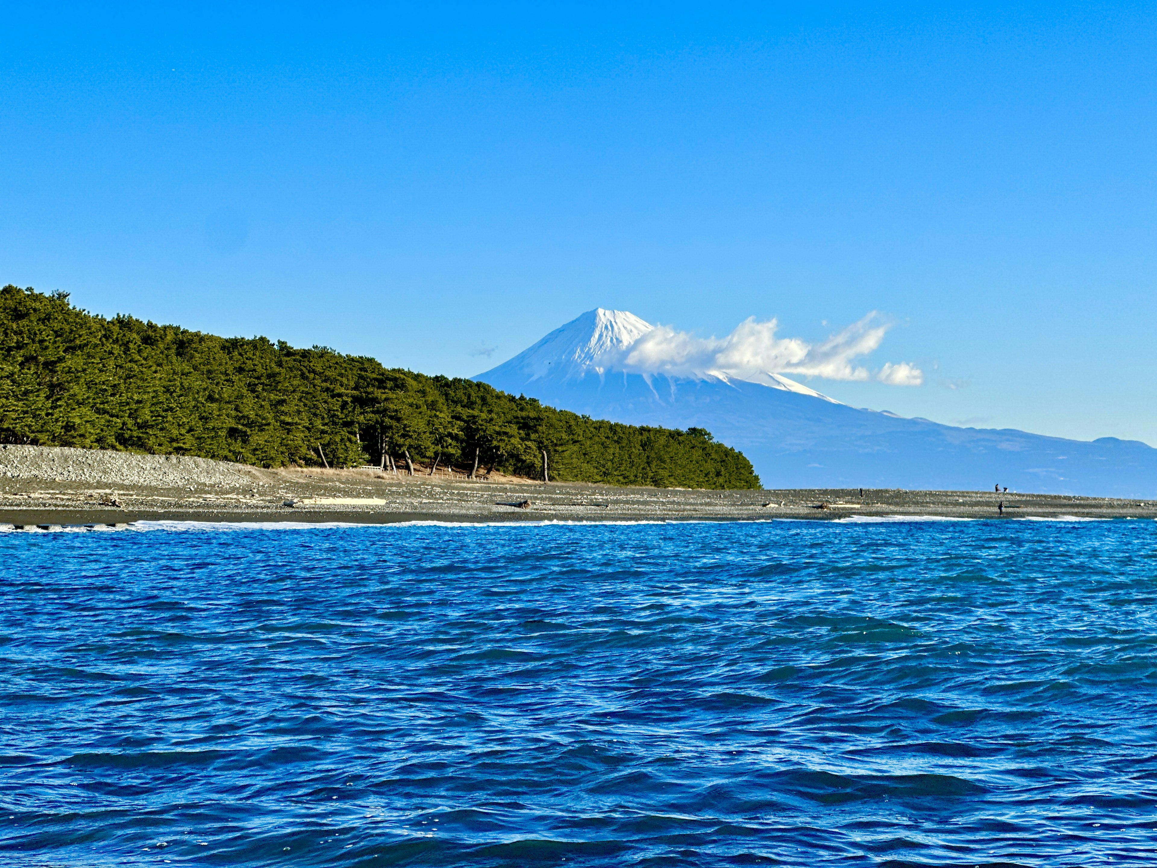 Vue pittoresque avec un océan bleu et une forêt verte avec une montagne enneigée en arrière-plan