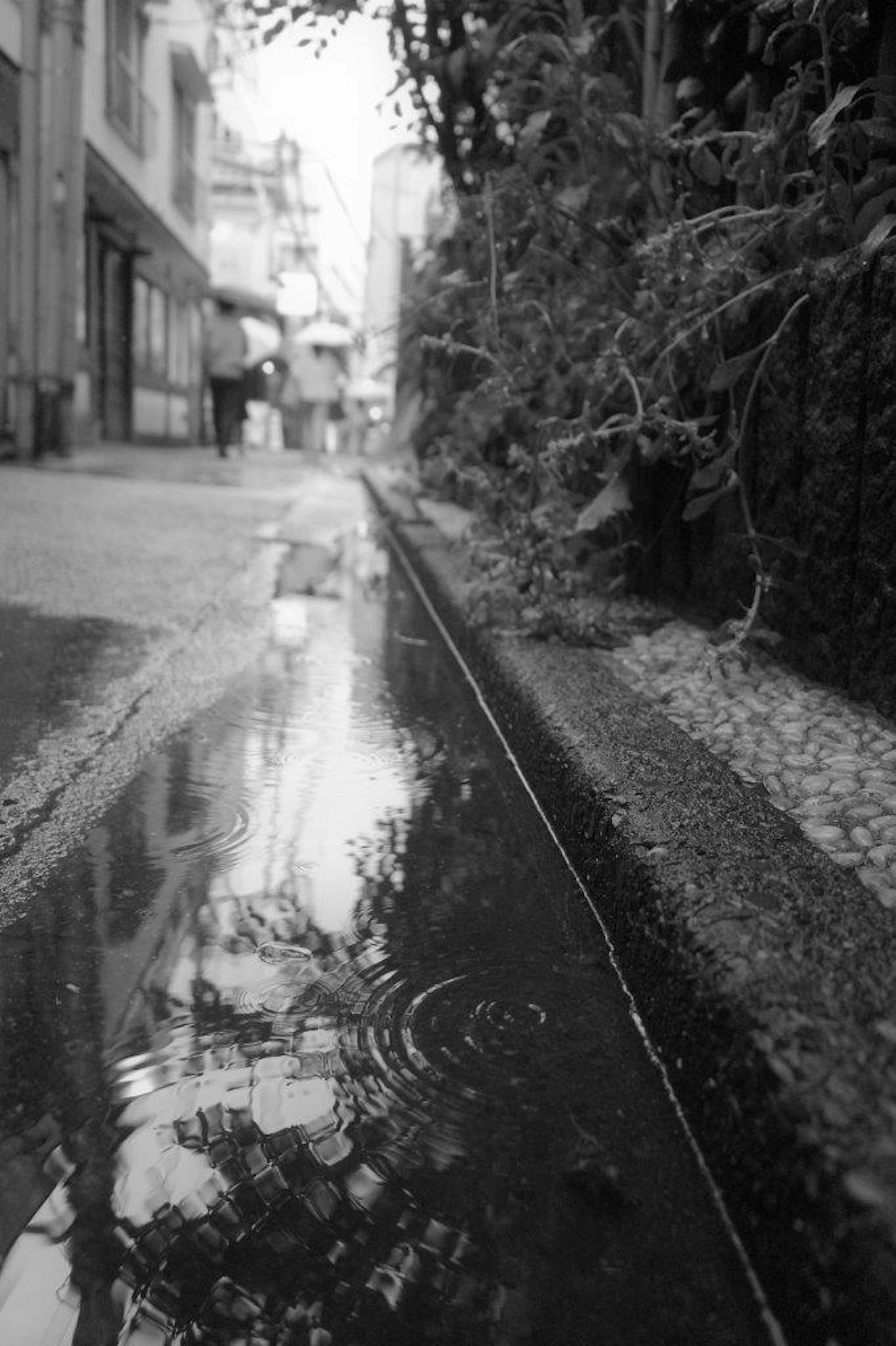 雨が降った後の静かな路地の水たまりに映る周囲の景色