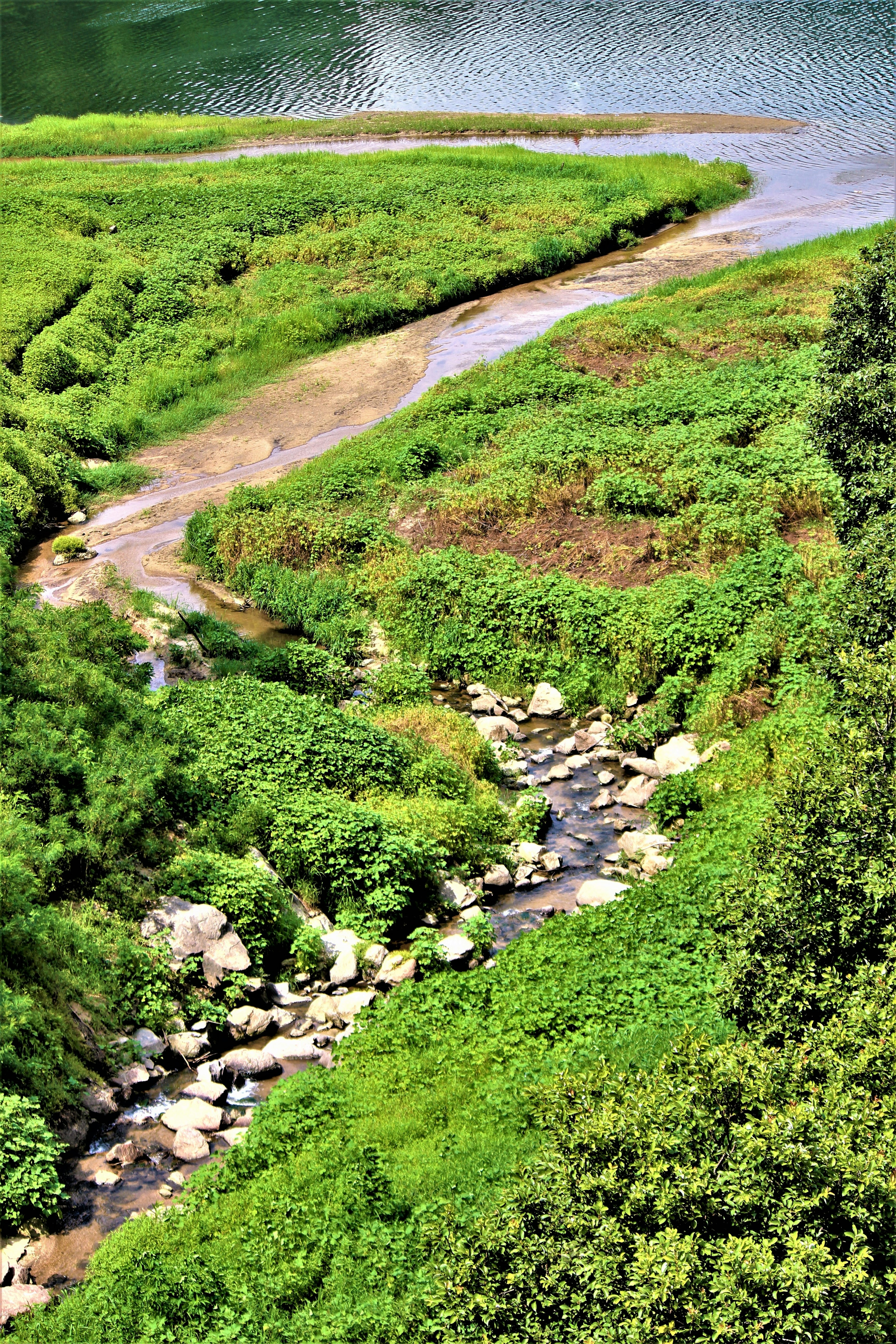 Pemandangan indah aliran sungai yang dikelilingi oleh vegetasi hijau