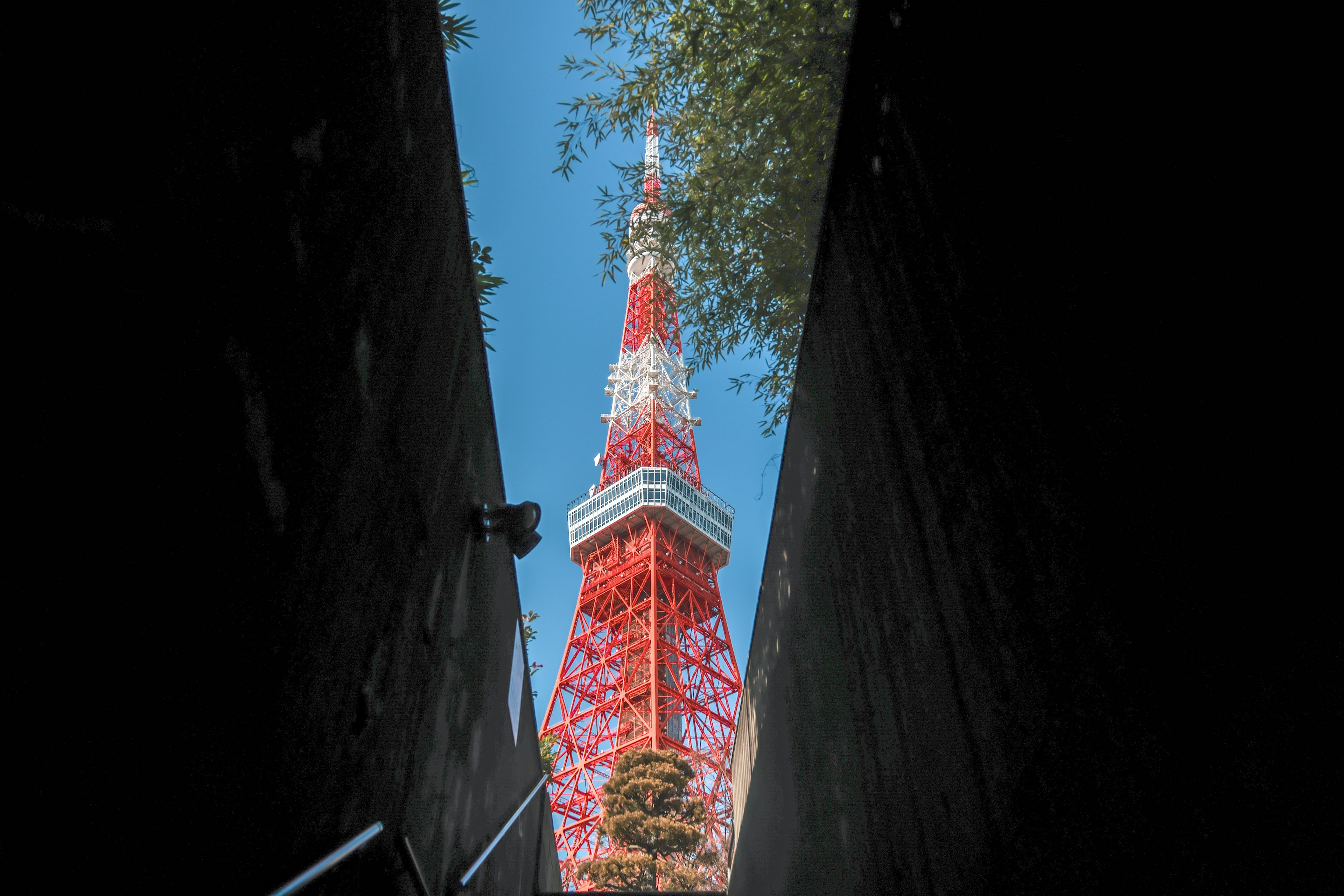 東京タワーが見えるトンネルの視点緑の葉と青空