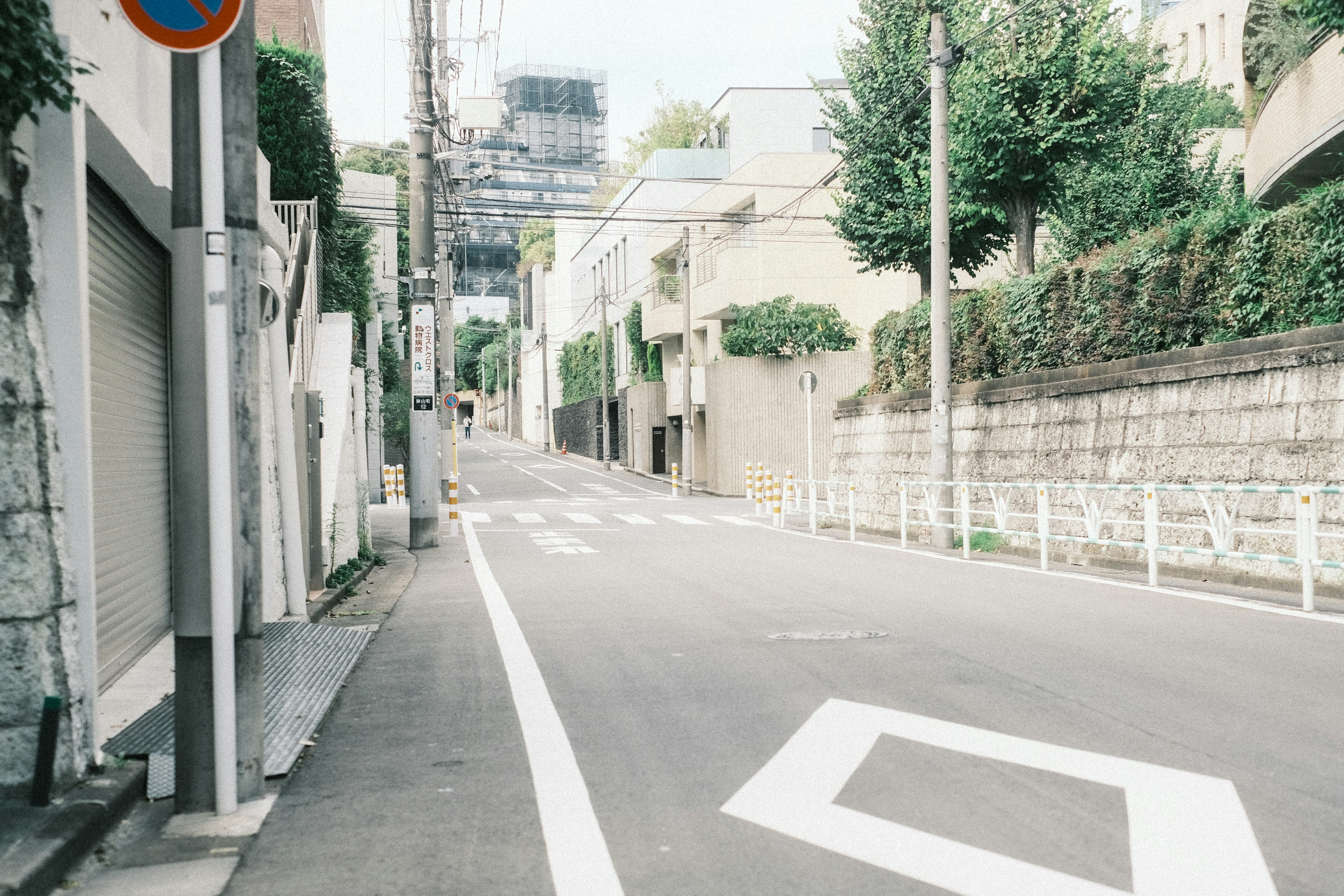 静かな街の風景で緑の木々と住宅が並ぶ坂道