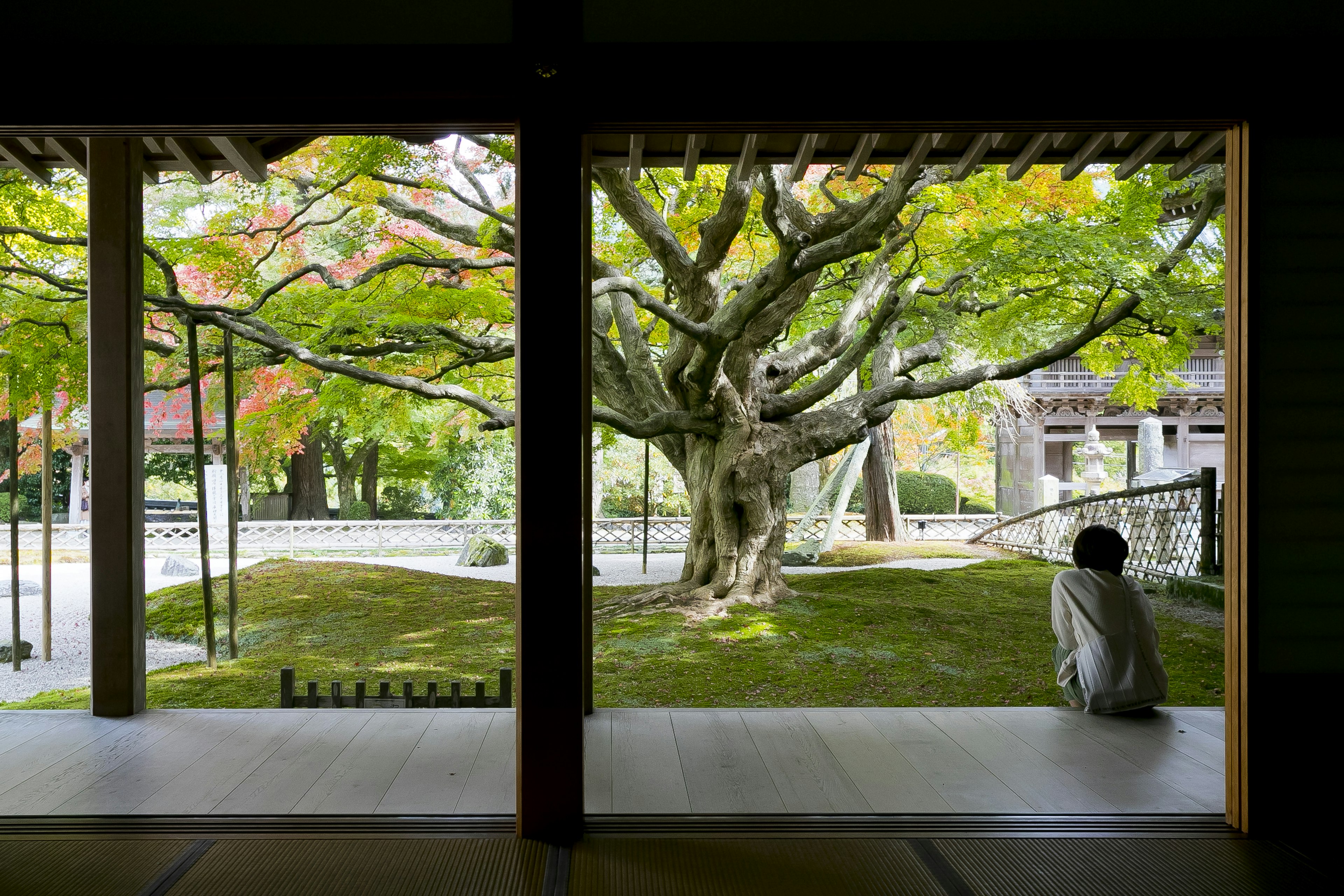 Interior of a traditional room with a person gazing at a beautiful garden