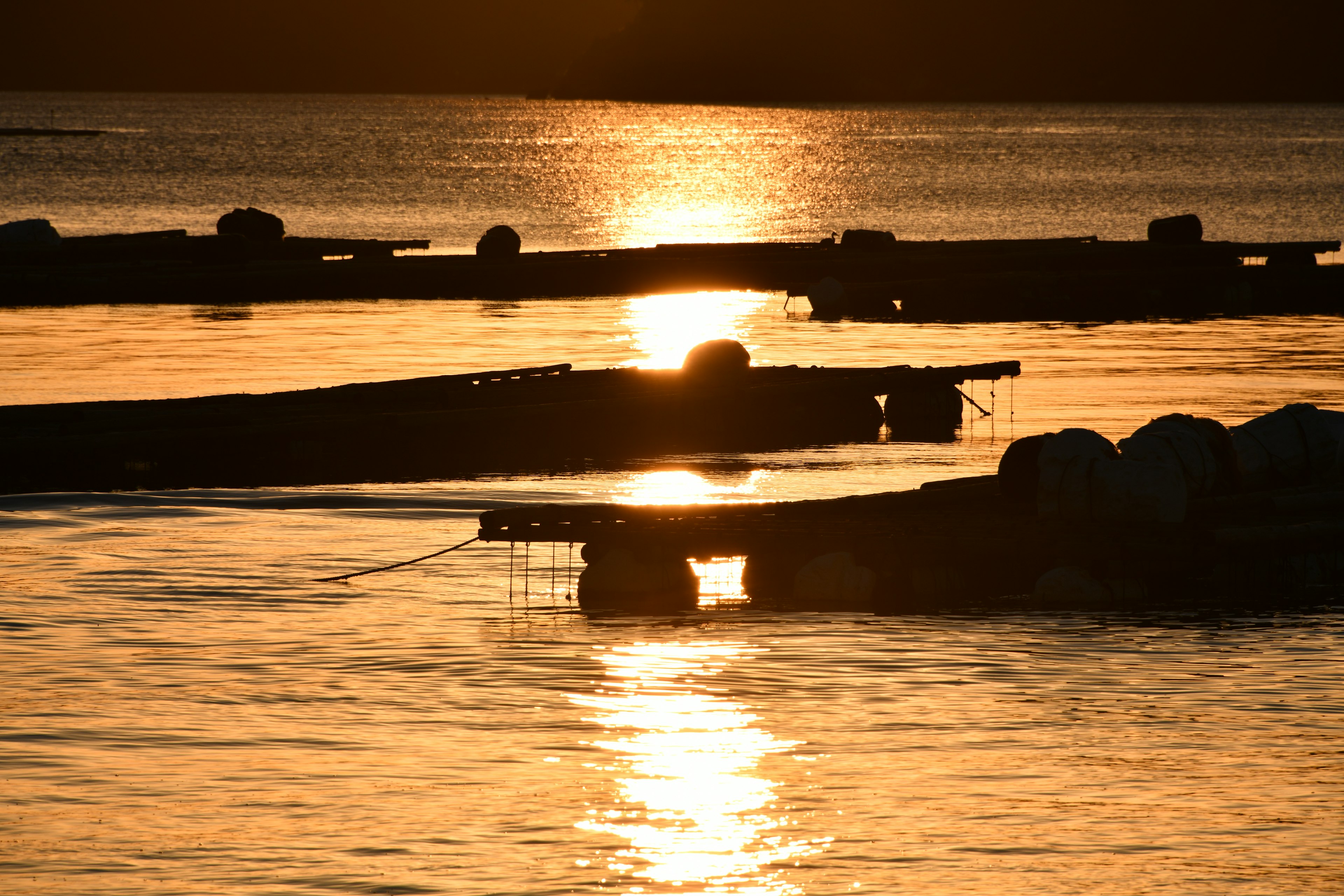 Silhouettes de radeaux sur l'eau reflétant le coucher de soleil