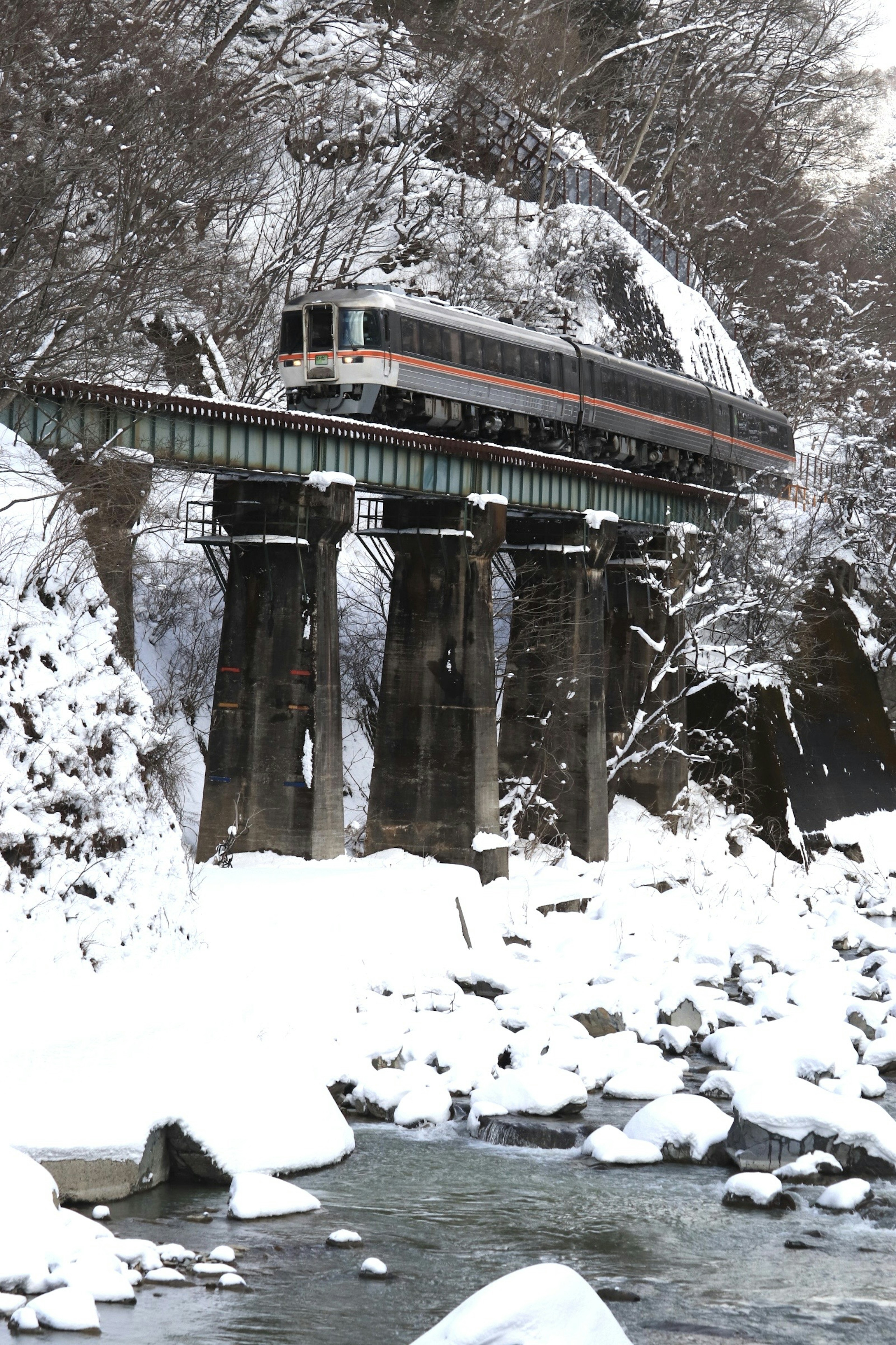 在雪覆蓋的橋上行駛的火車