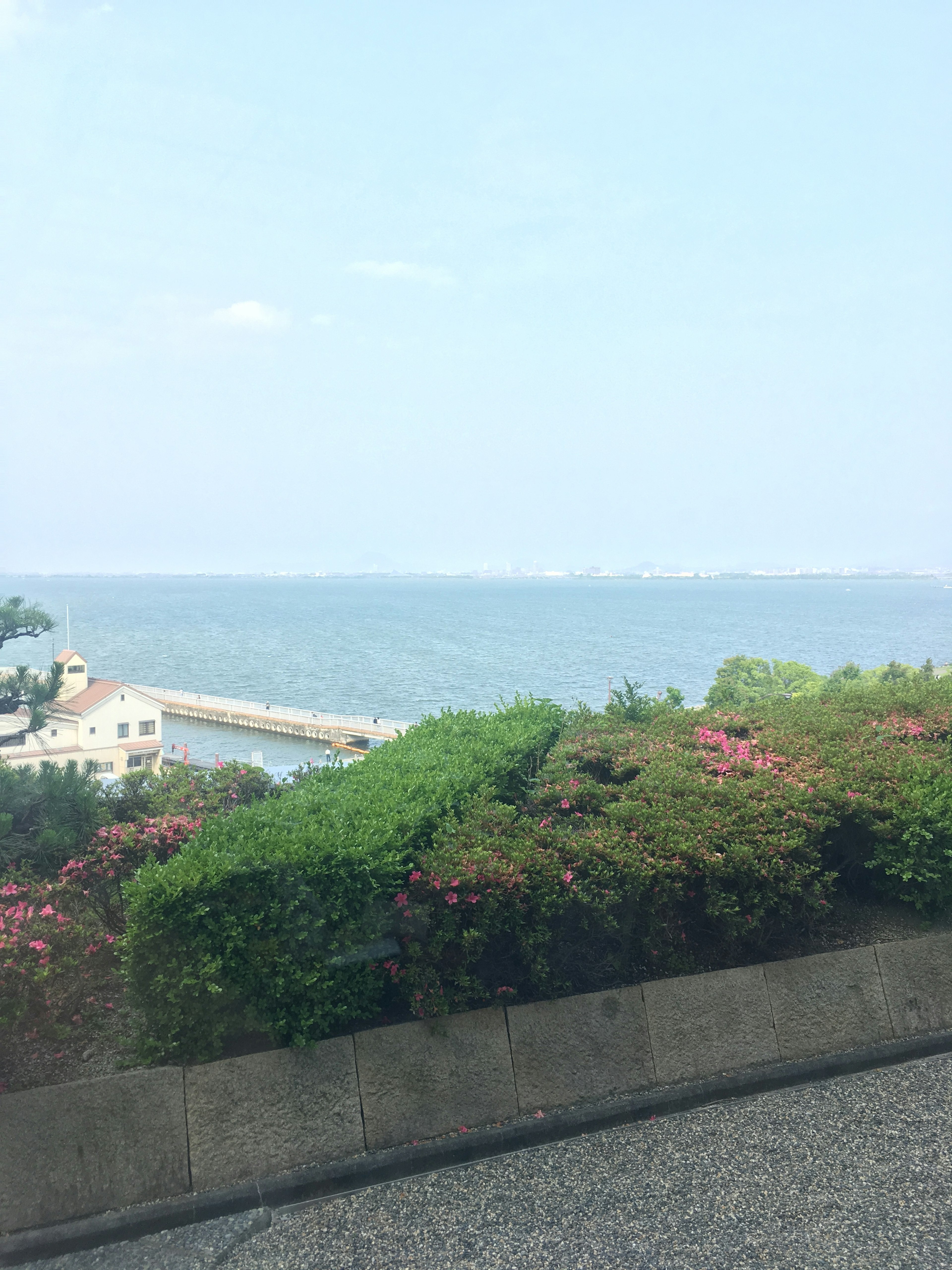 Vista panoramica dell'oceano con vegetazione lussureggiante in primo piano