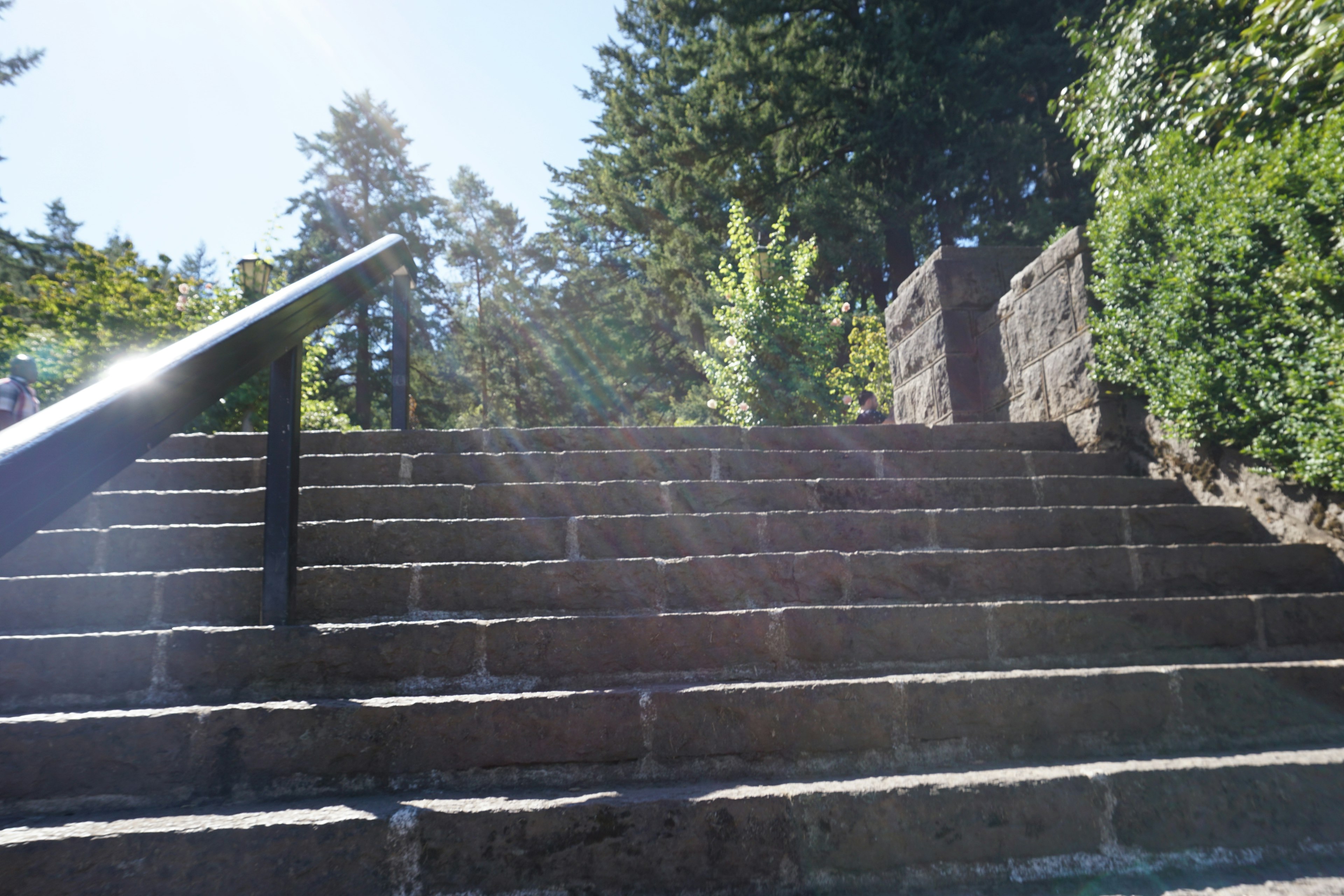 Escaleras de piedra que conducen hacia arriba con vegetación exuberante y luz solar al fondo