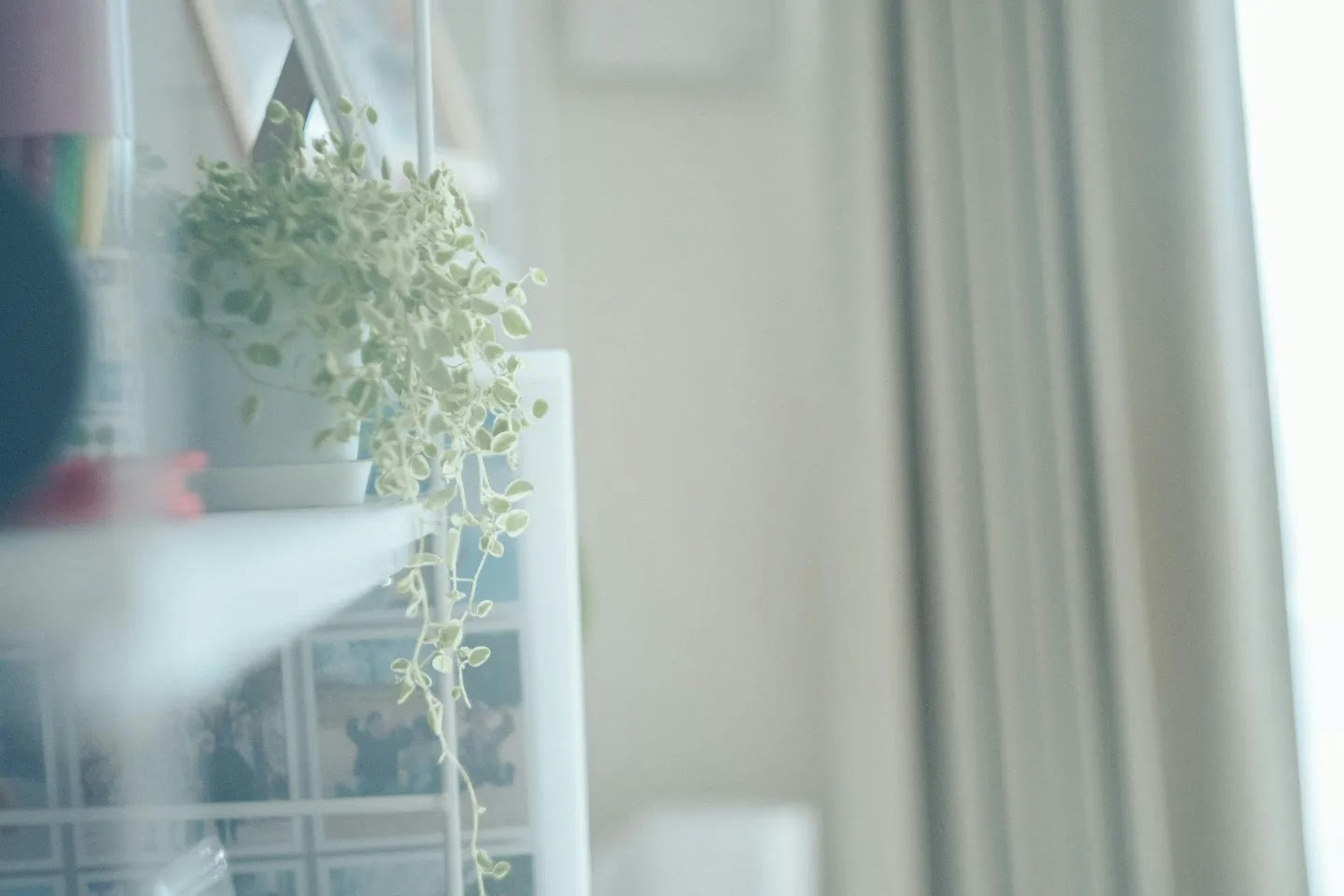 Una escena interior brillante con una planta en maceta cerca de una ventana y parte de una estantería