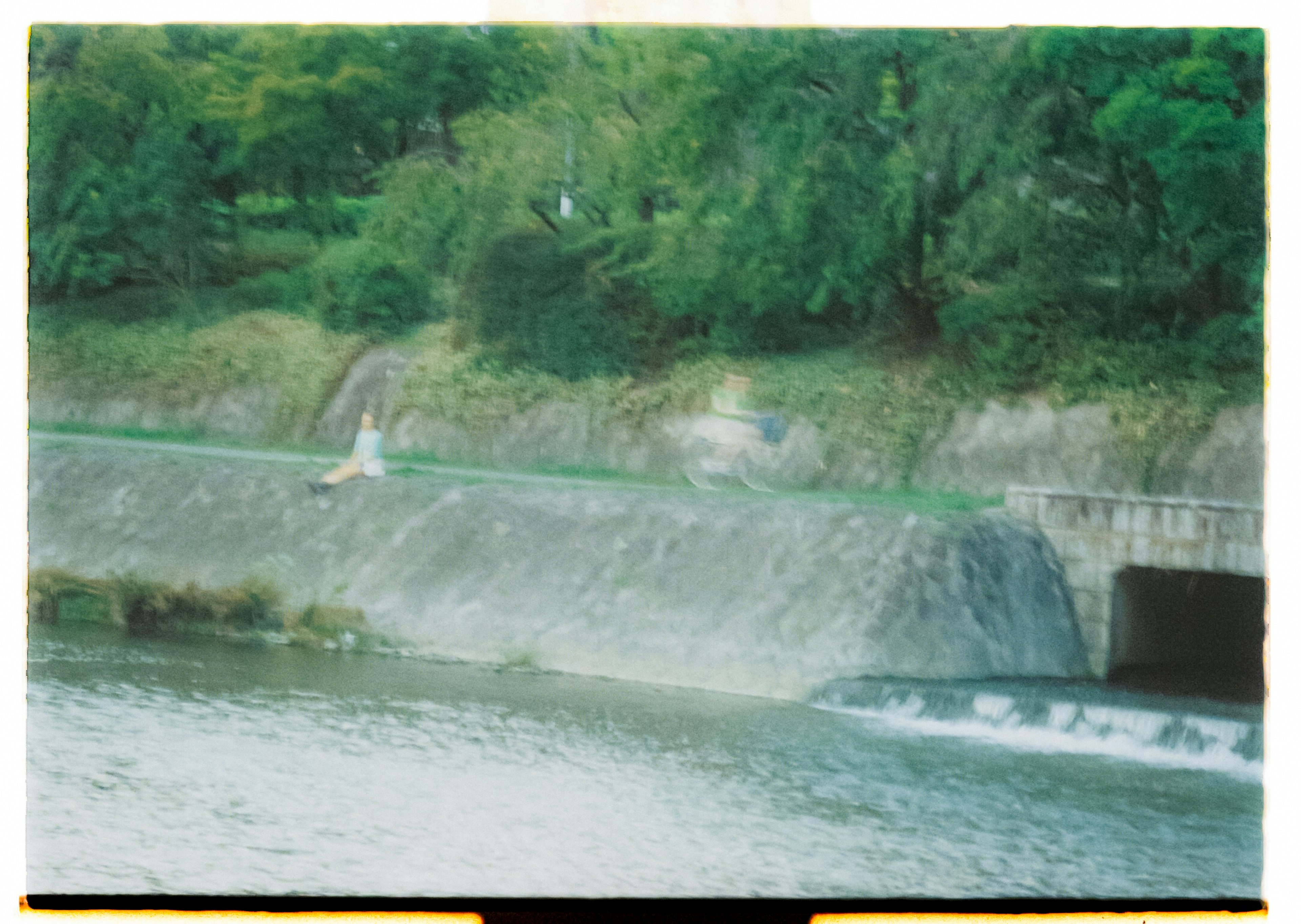 Vue pittoresque au bord de la rivière avec de l'eau en mouvement et des arbres verts luxuriants