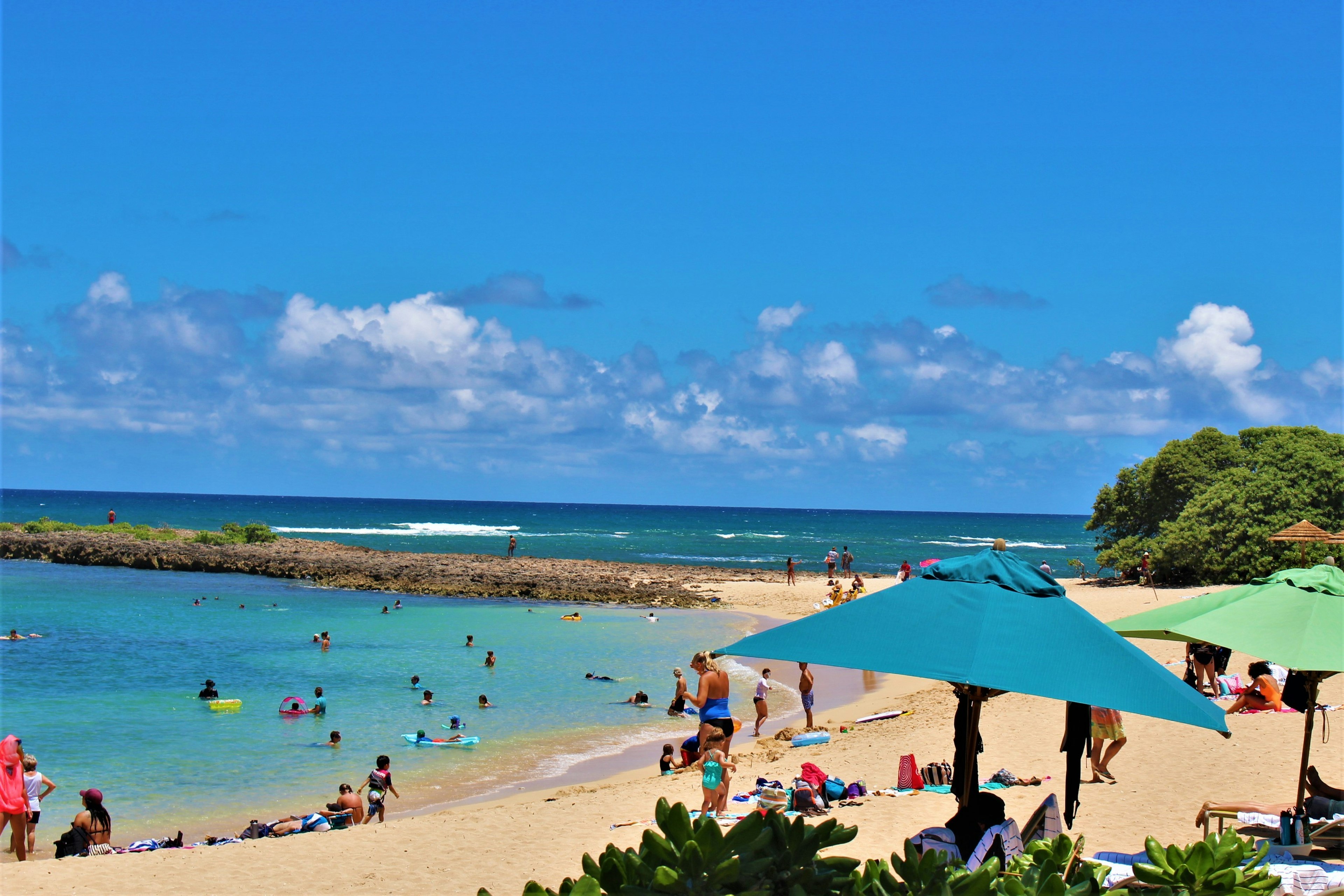 A beach scene with a blue sky and beautiful sea featuring people relaxing under green umbrellas