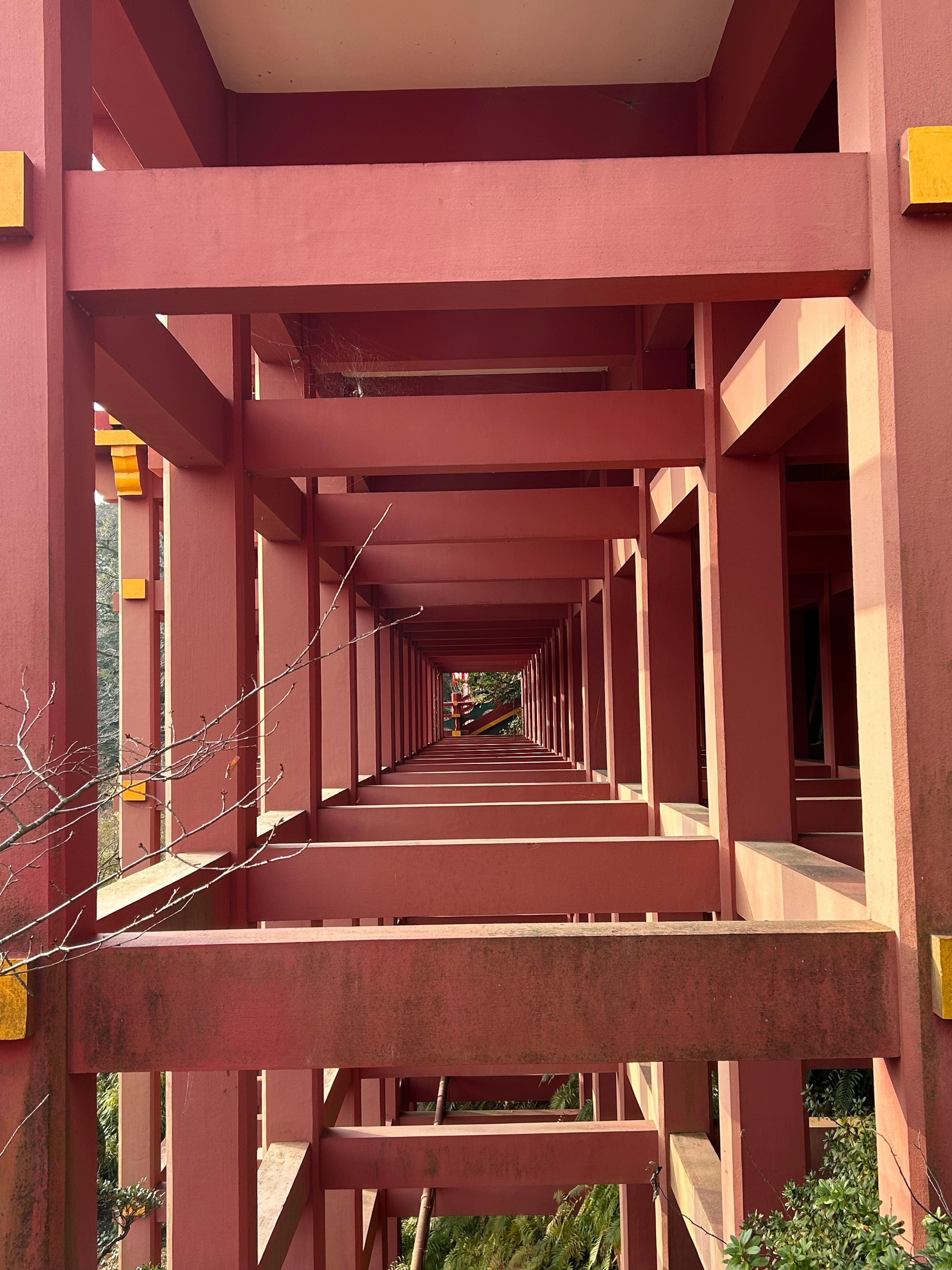 Vista en perspectiva de una estructura roja con profundidad visible