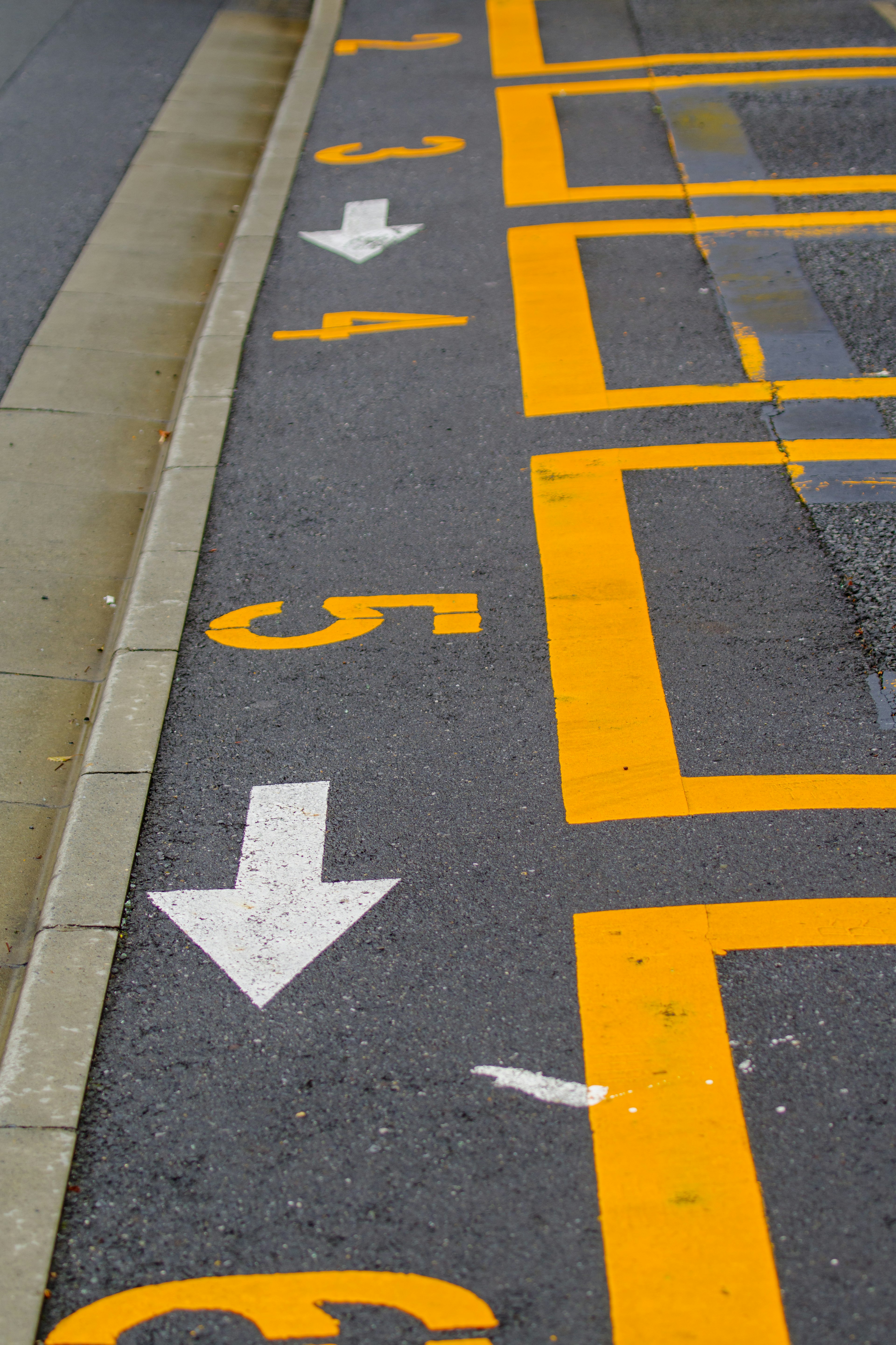 Parking space with yellow lines and white arrows on asphalt