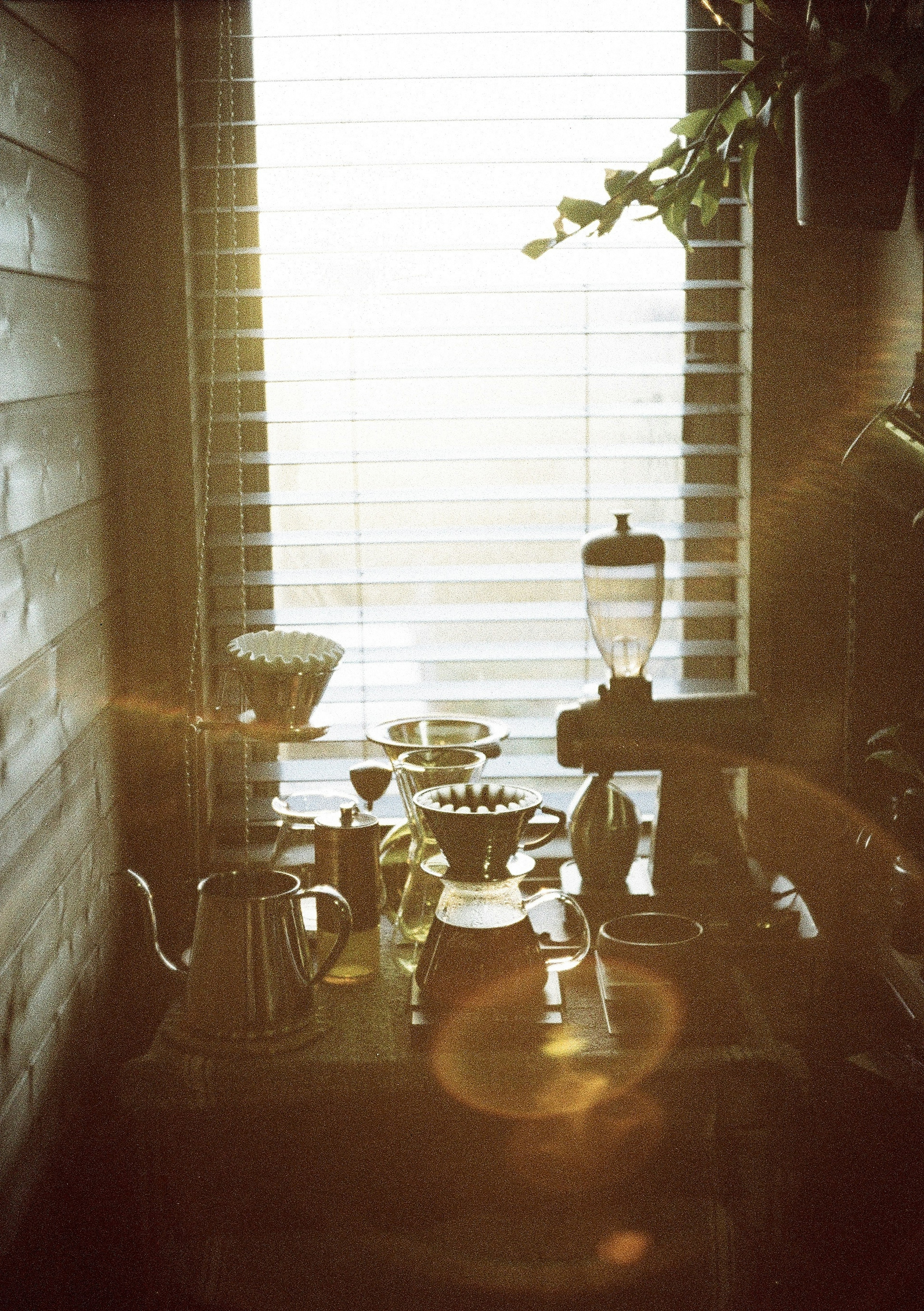 Bright scene with coffee equipment and plants by the window