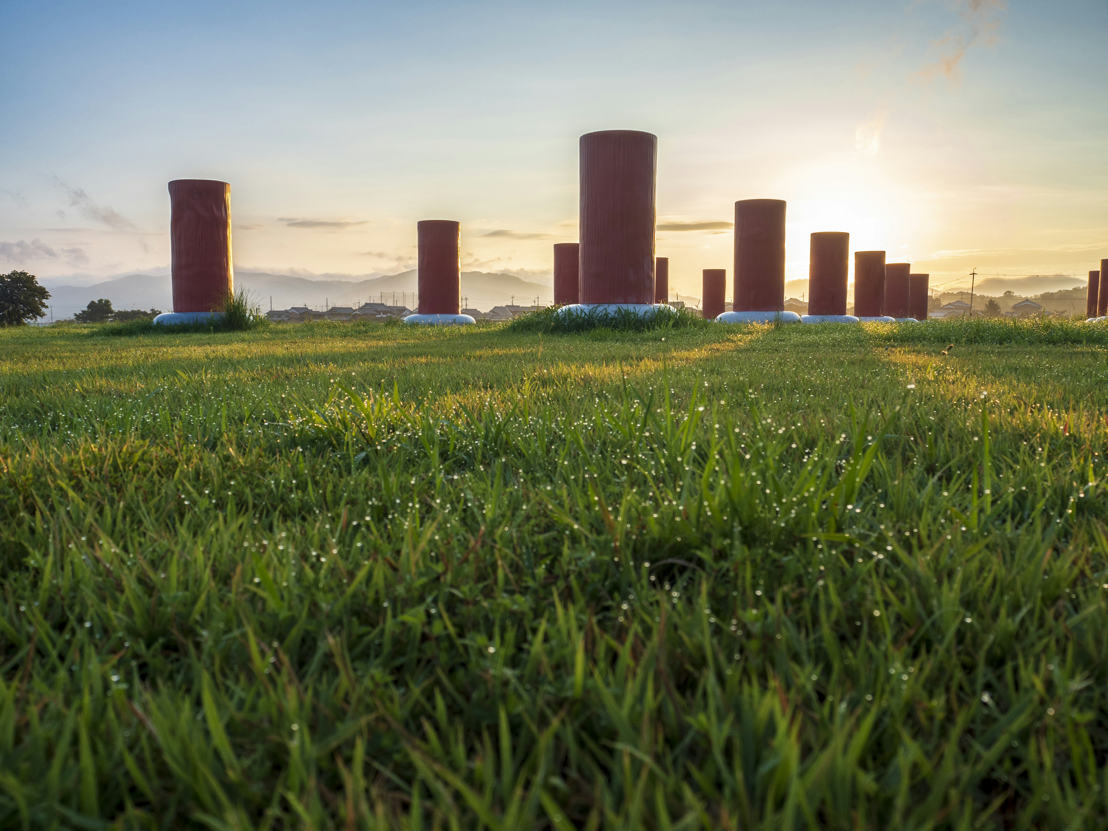 Red cylindrical structures in a green field at sunset