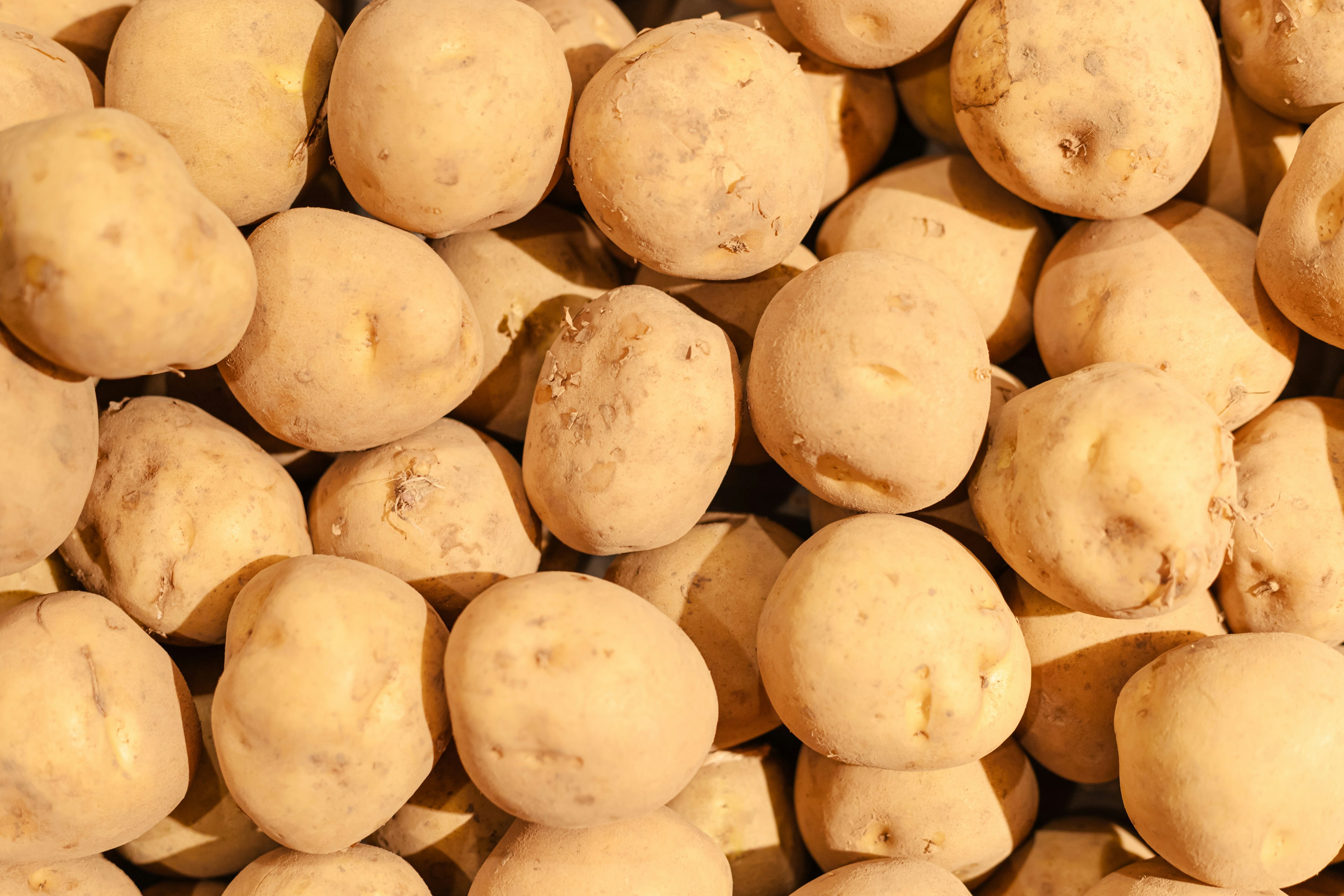 A close-up of numerous white potatoes piled together