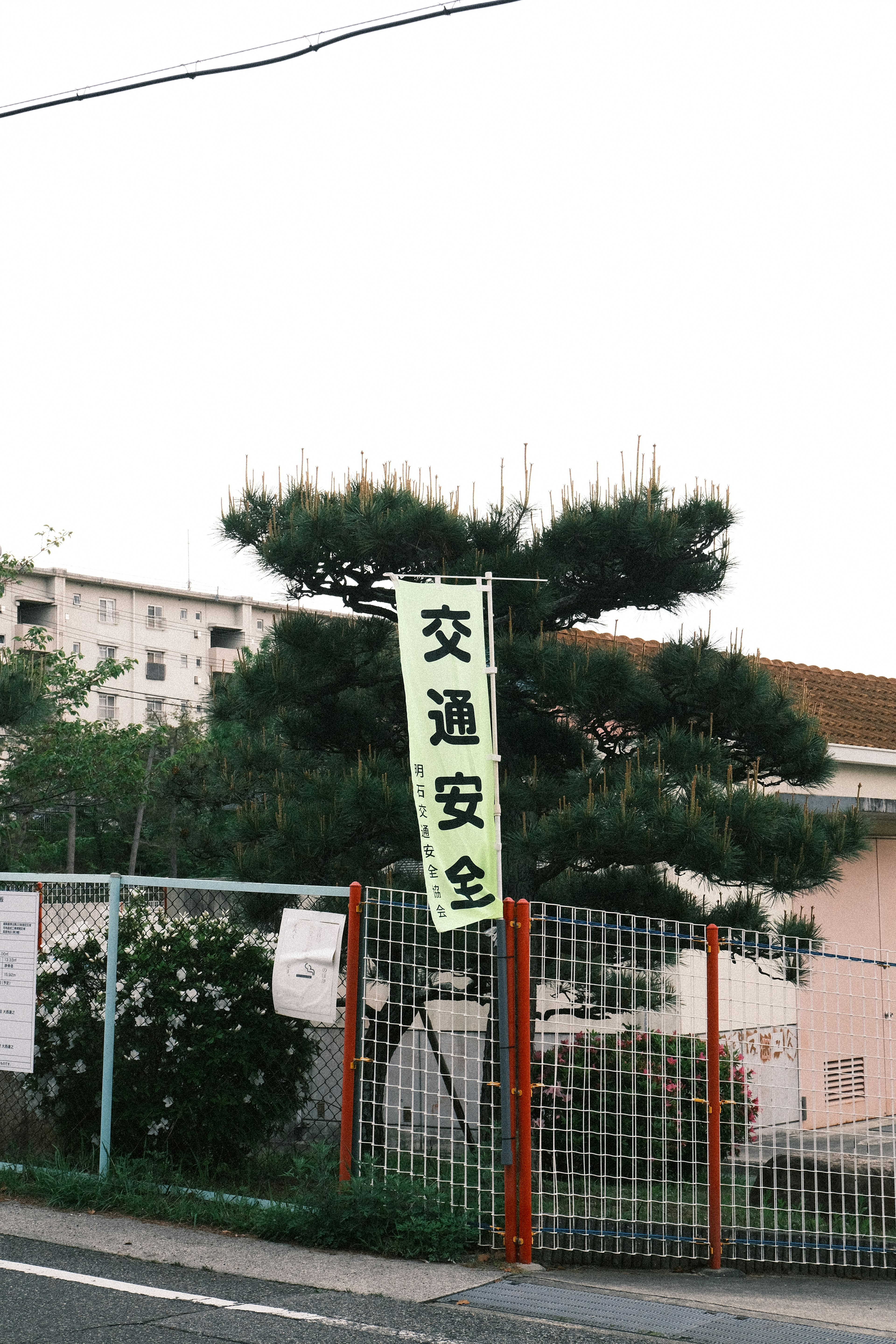 交通安全を示す緑の旗と松の木のある風景