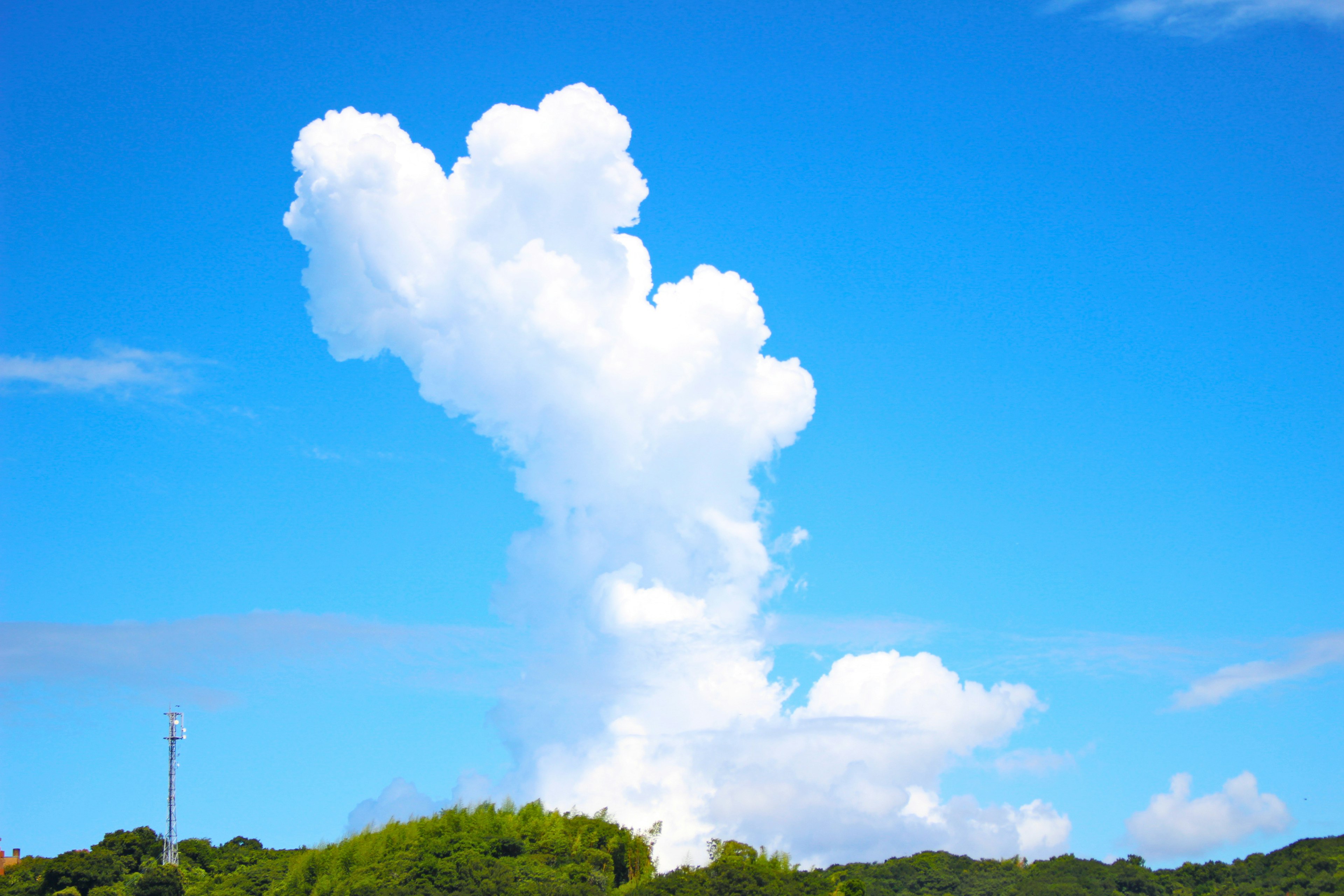 青空に立ち上がる白い雲の特徴的な形状