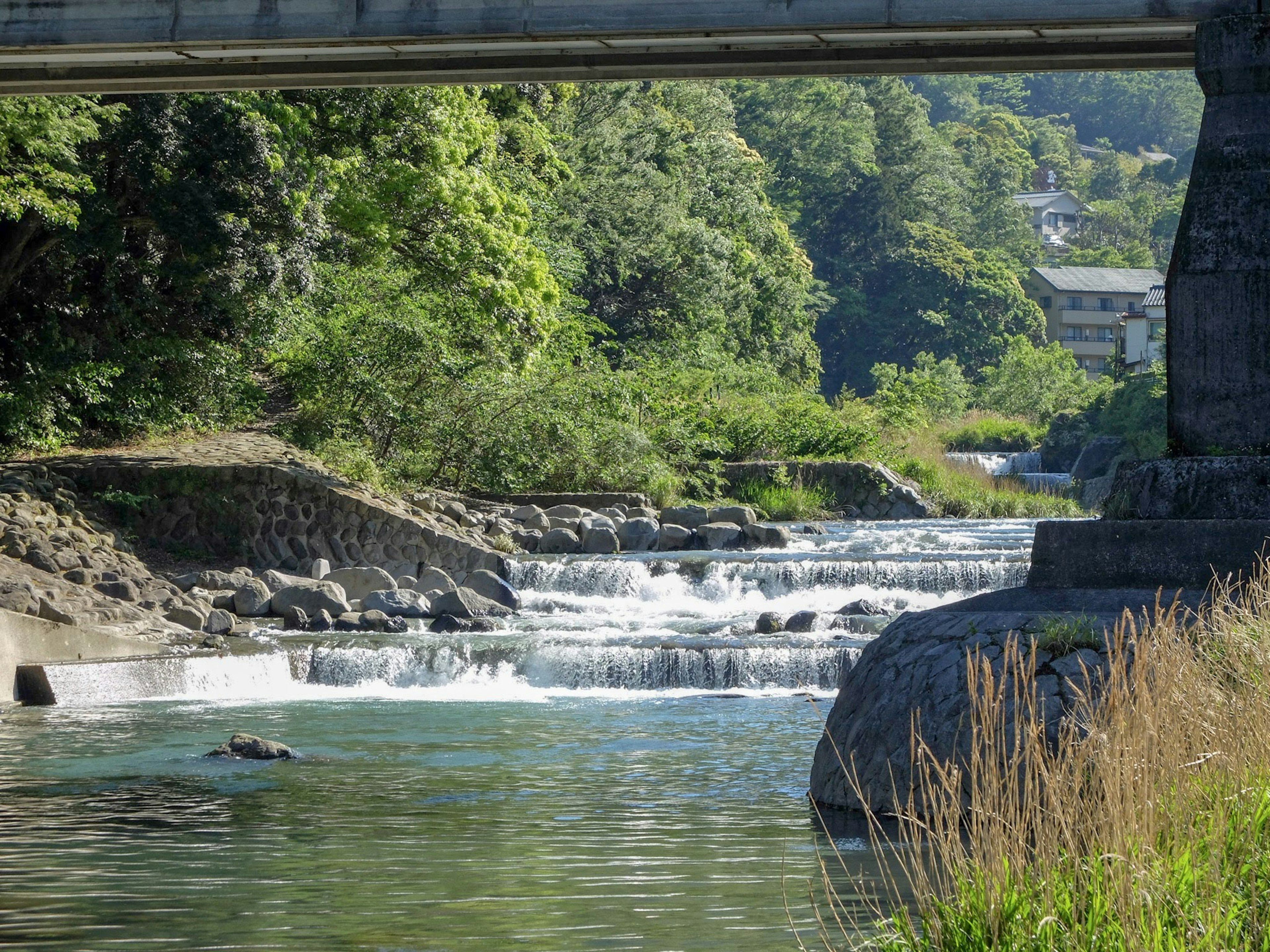 A scenic view of flowing river and lush greenery with a bridge overhead and buildings in the background