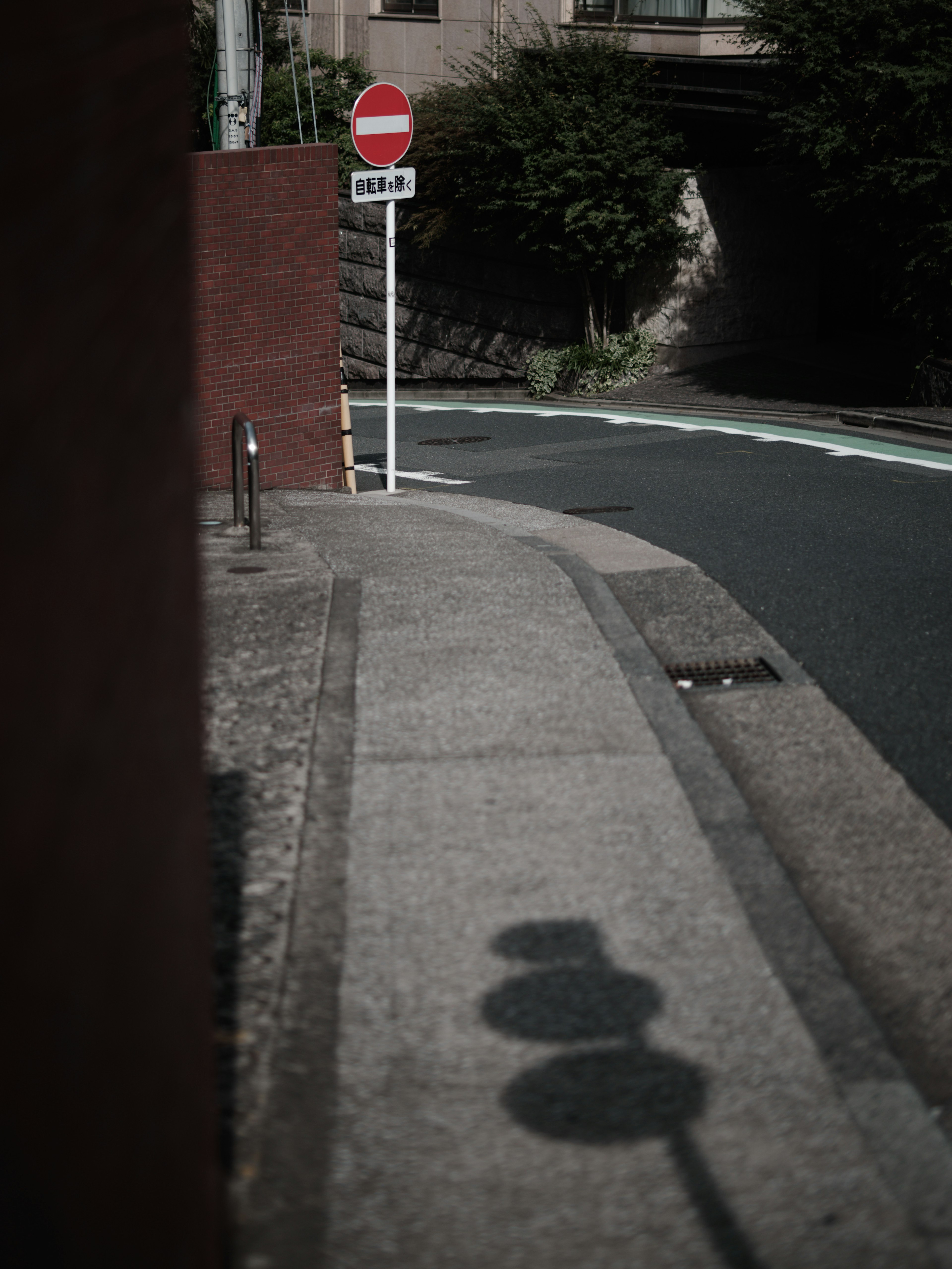 Curved sidewalk with a traffic sign and its shadow