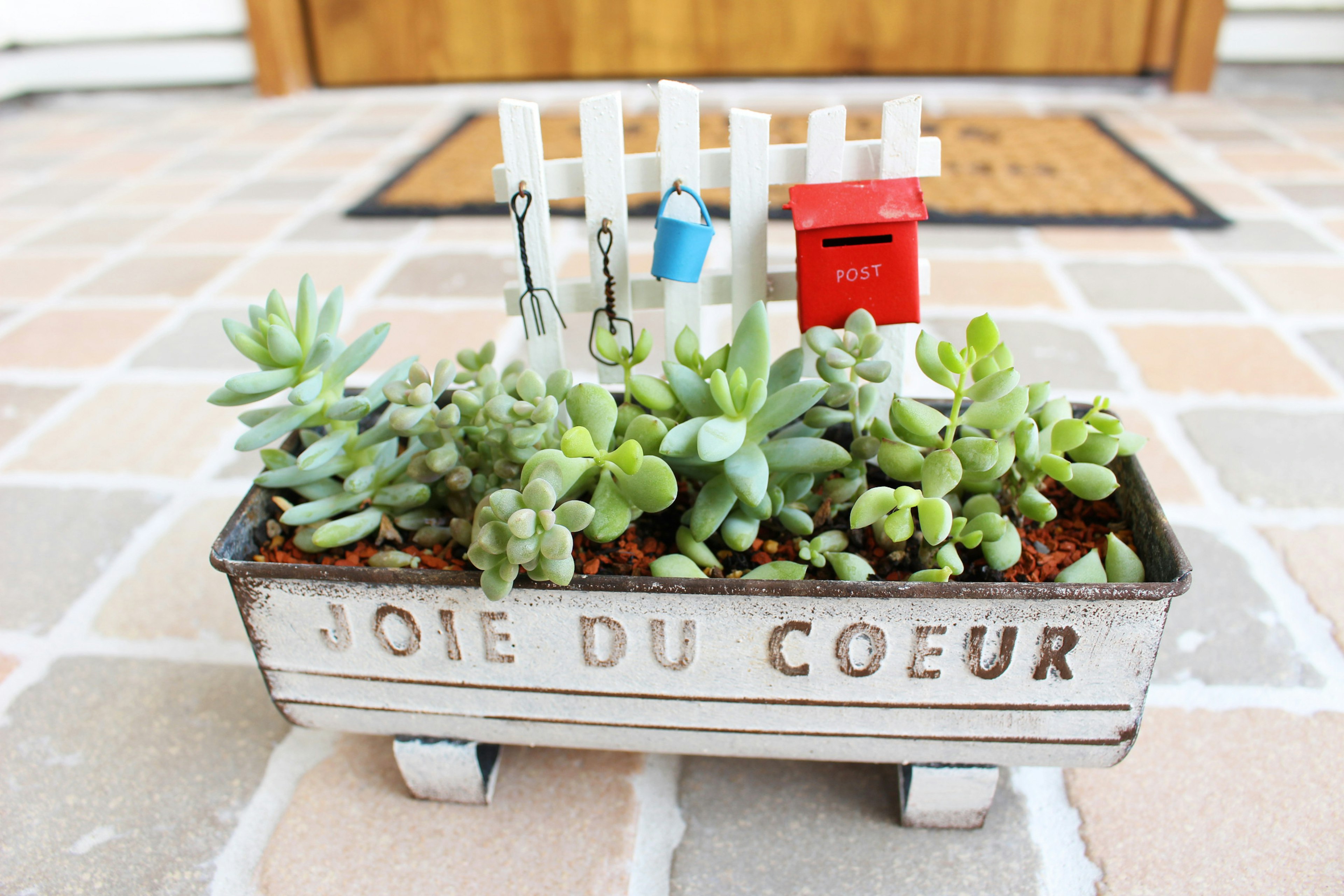 Un charmant pot avec des plantes succulentes, présentant une clôture blanche et une petite boîte aux lettres rouge en arrière-plan