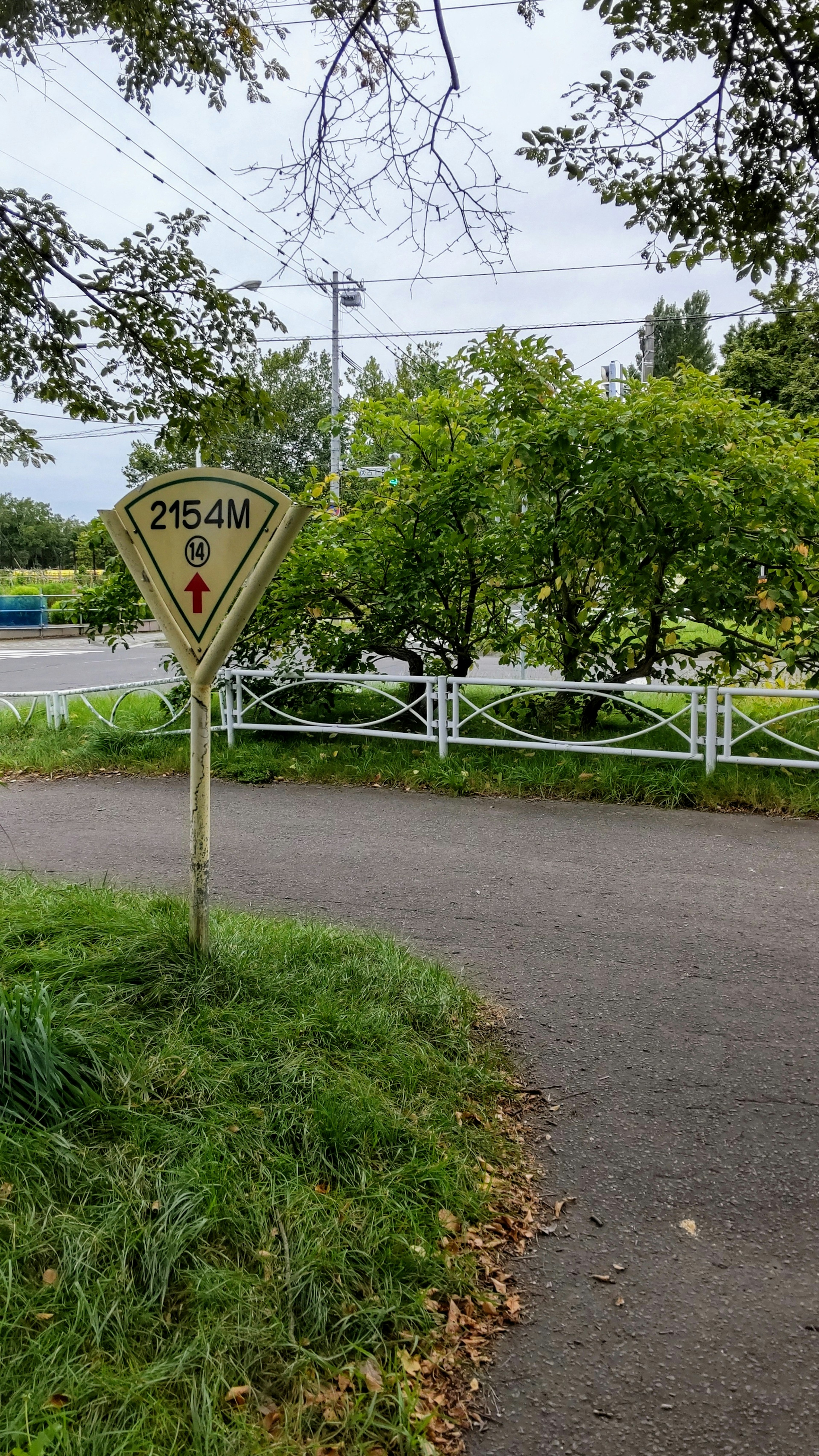 道の標識が見える緑豊かな風景