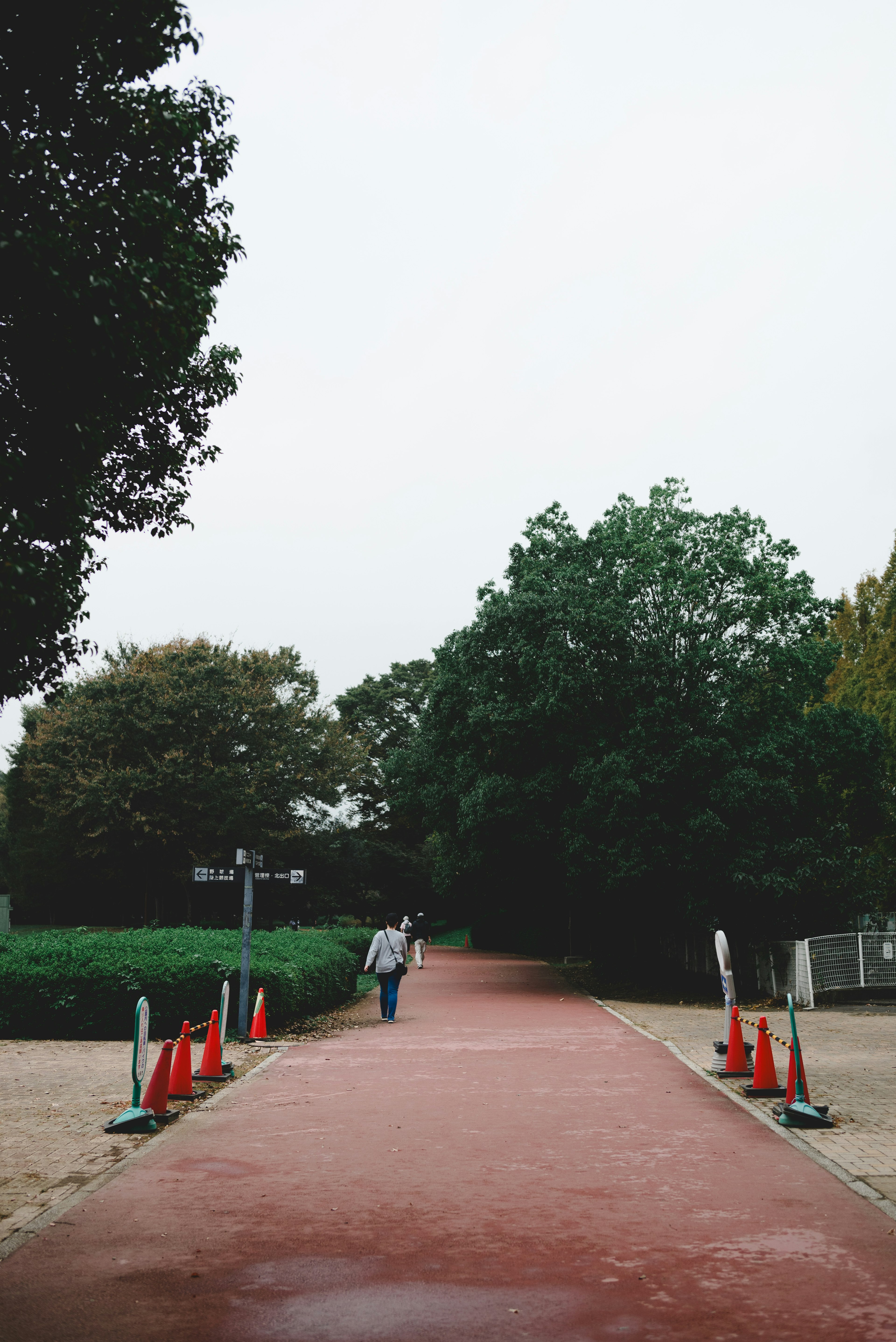 赤い道を歩く人と周囲の緑の木々がある公園の風景