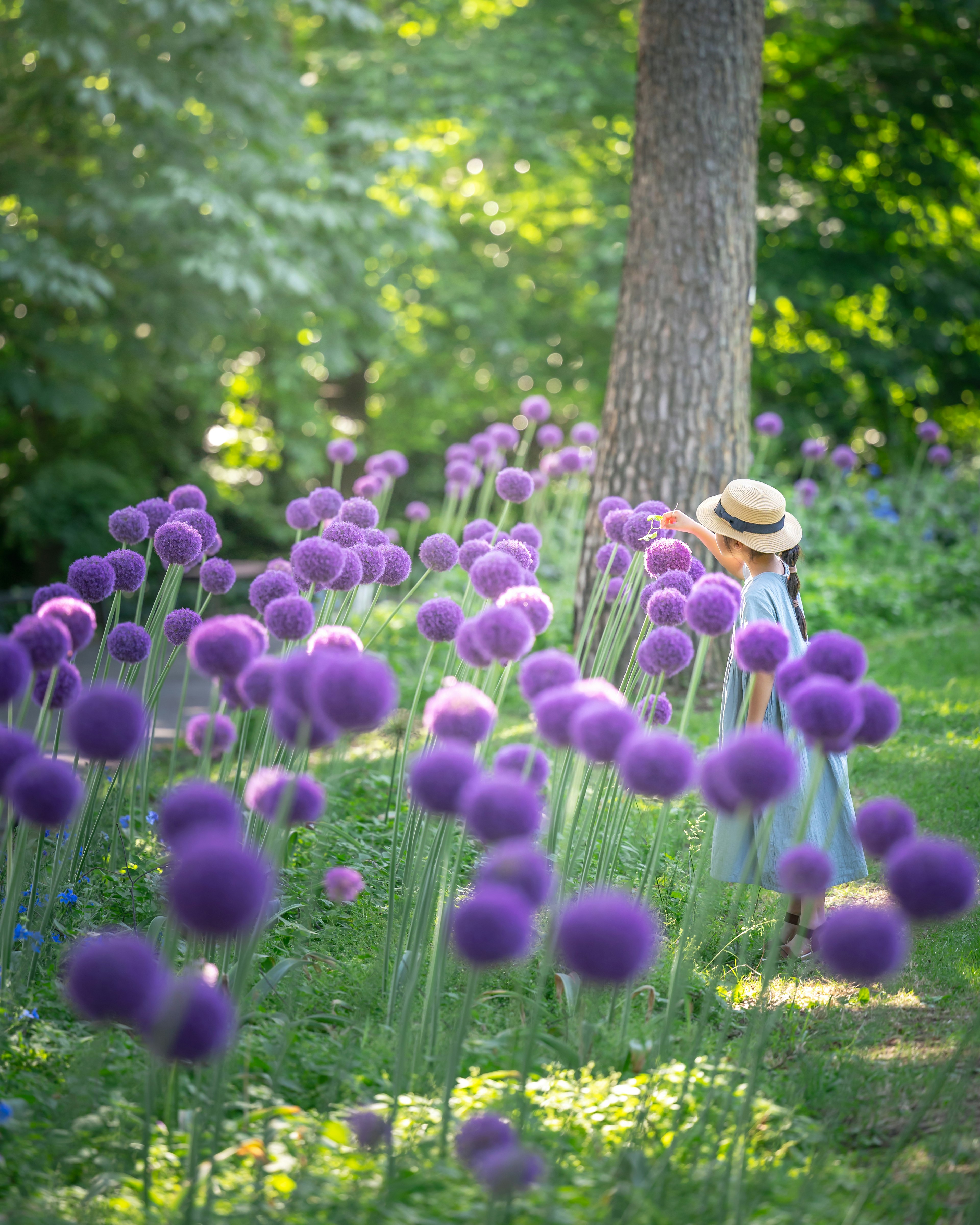 Une femme portant un chapeau se tient parmi des fleurs violettes dans un jardin