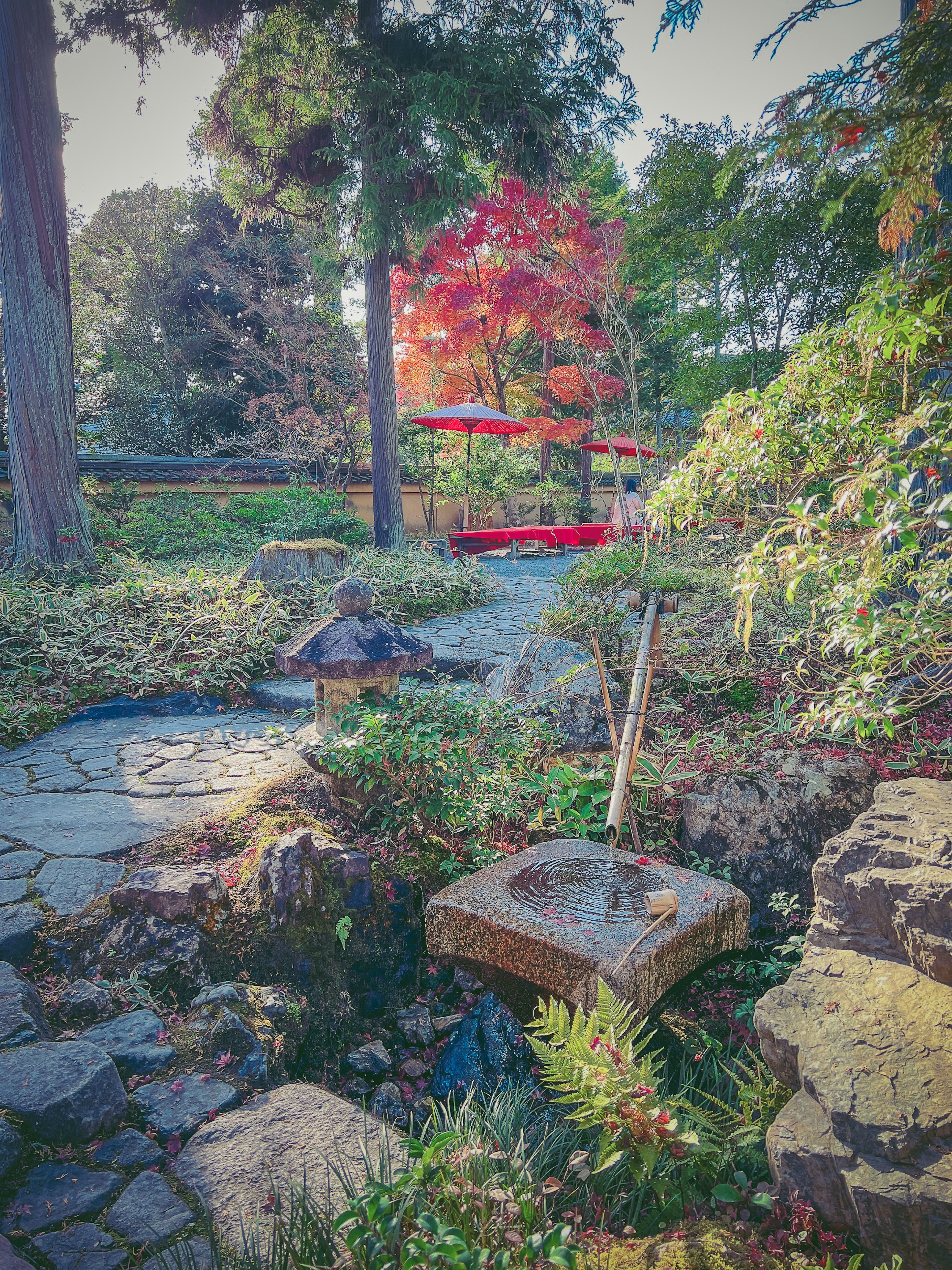 Schöne japanische Gartenlandschaft mit Steinweg und herbstlichem Laub