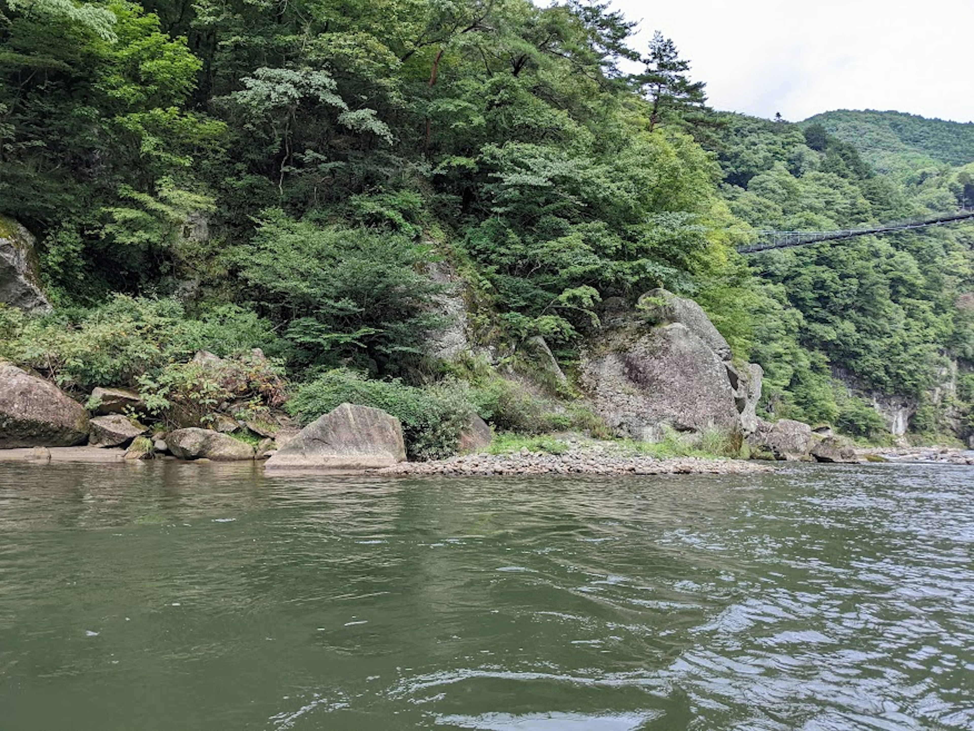 Costa verde con superficie de agua tranquila