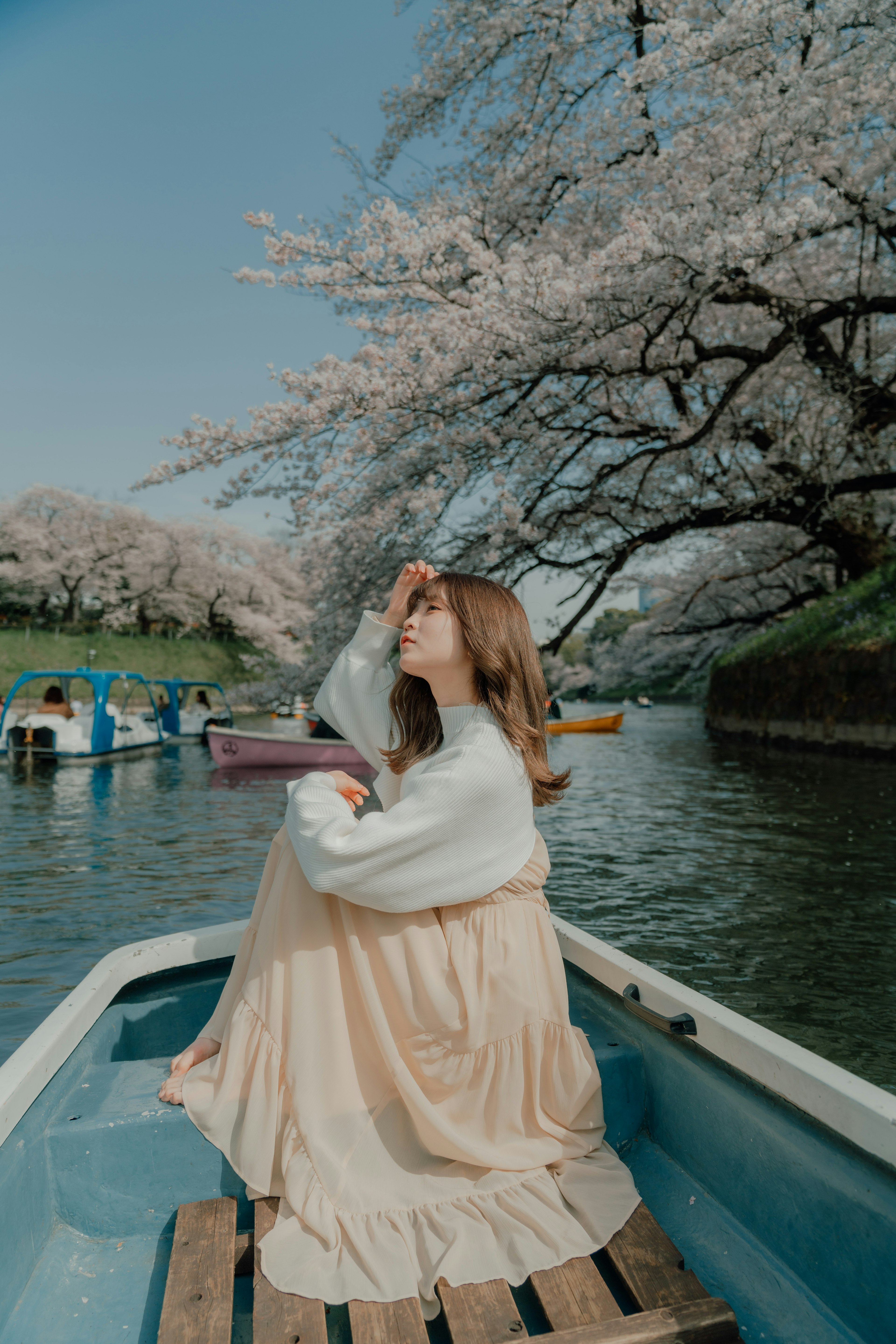 Femme assise dans un bateau sous des cerisiers en fleurs